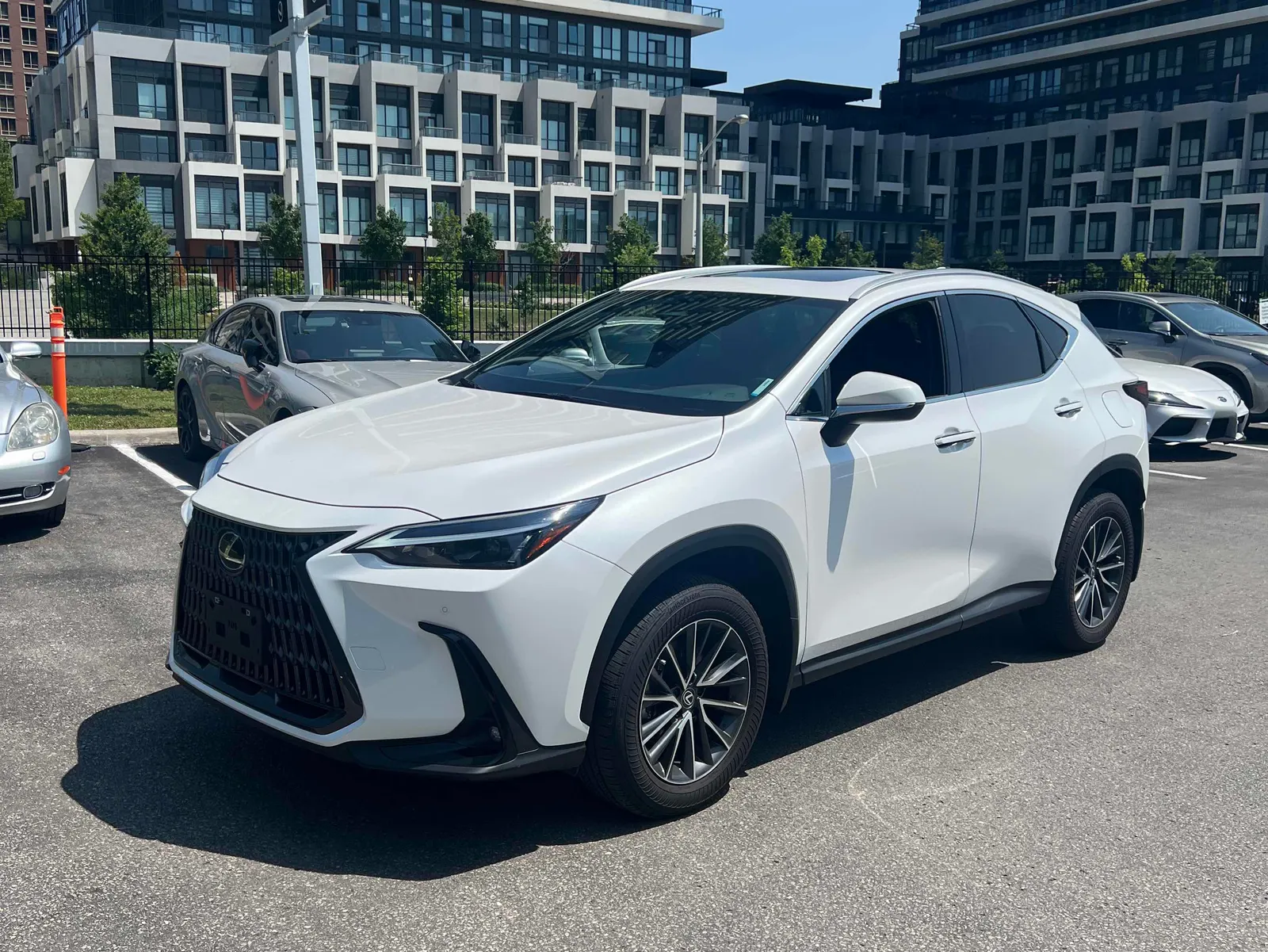 2025 Lexus NX