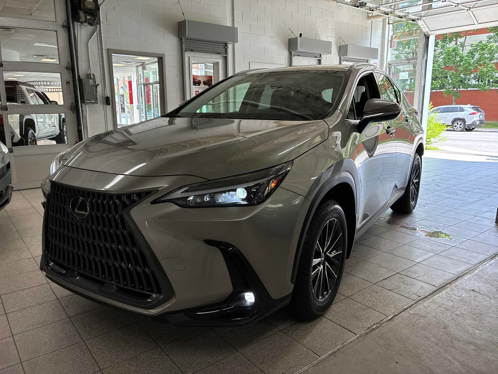 2024 Lexus NX