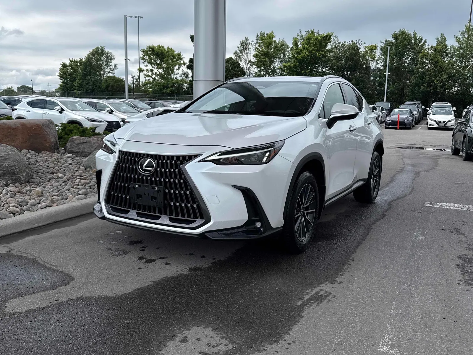 2025 Lexus NX