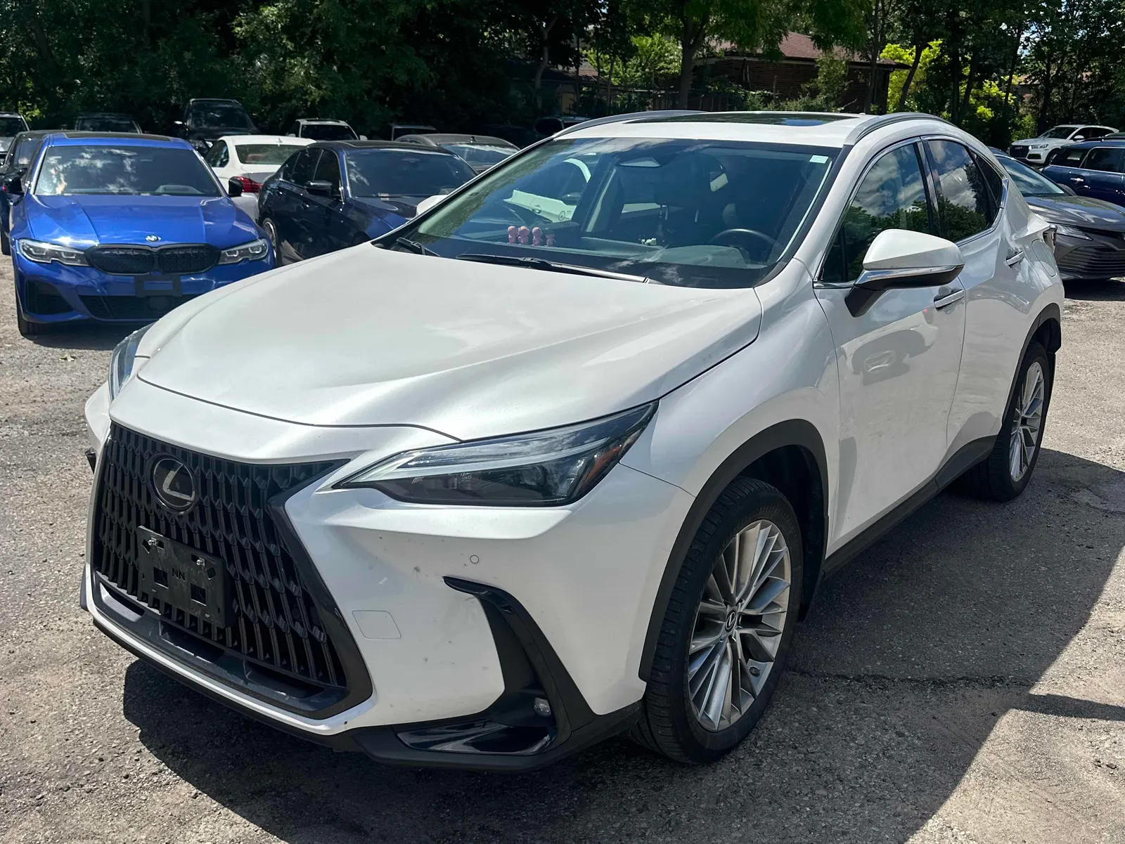 2022 Lexus NX