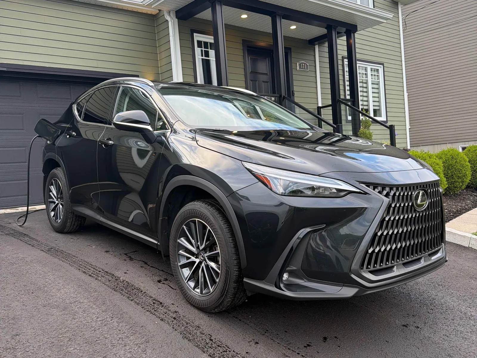 2024 Lexus NX