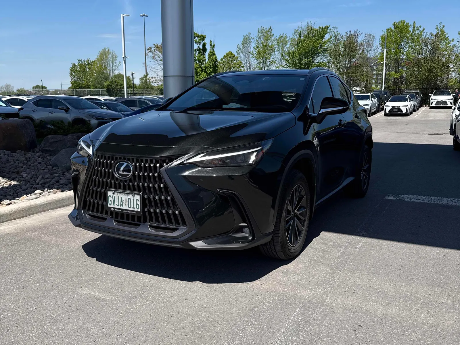 2025 Lexus NX