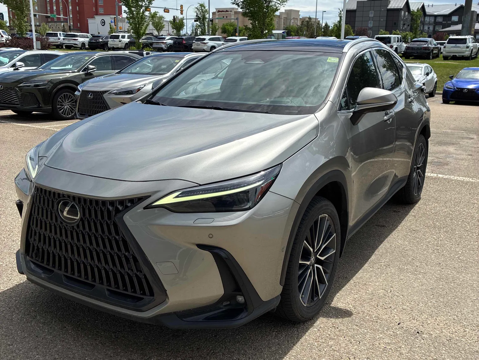 2022 Lexus NX