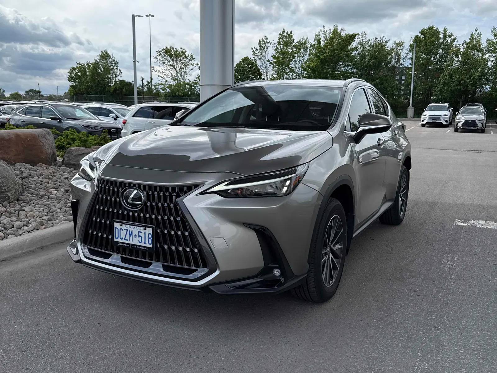 2025 Lexus NX