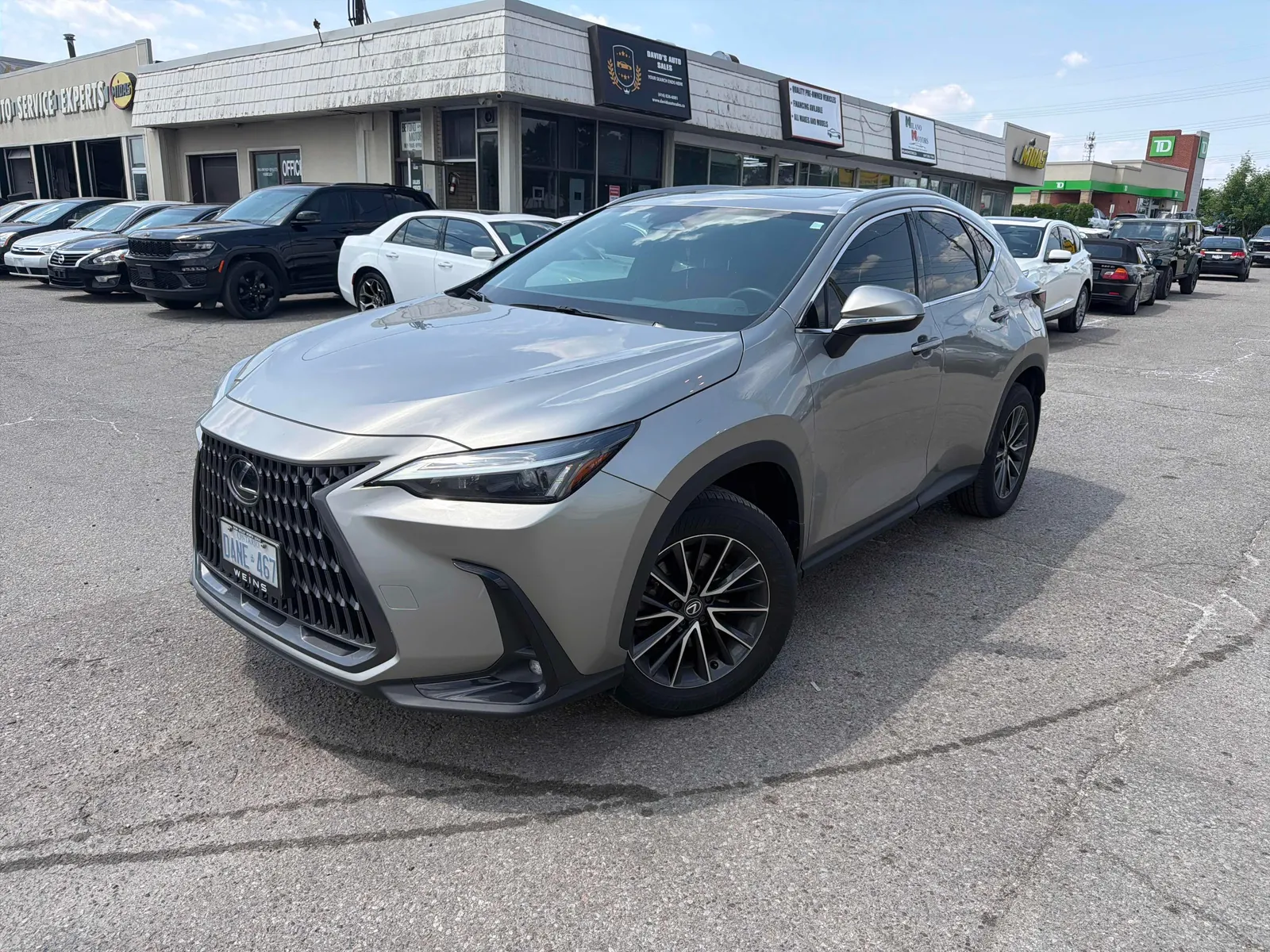 2024 Lexus NX