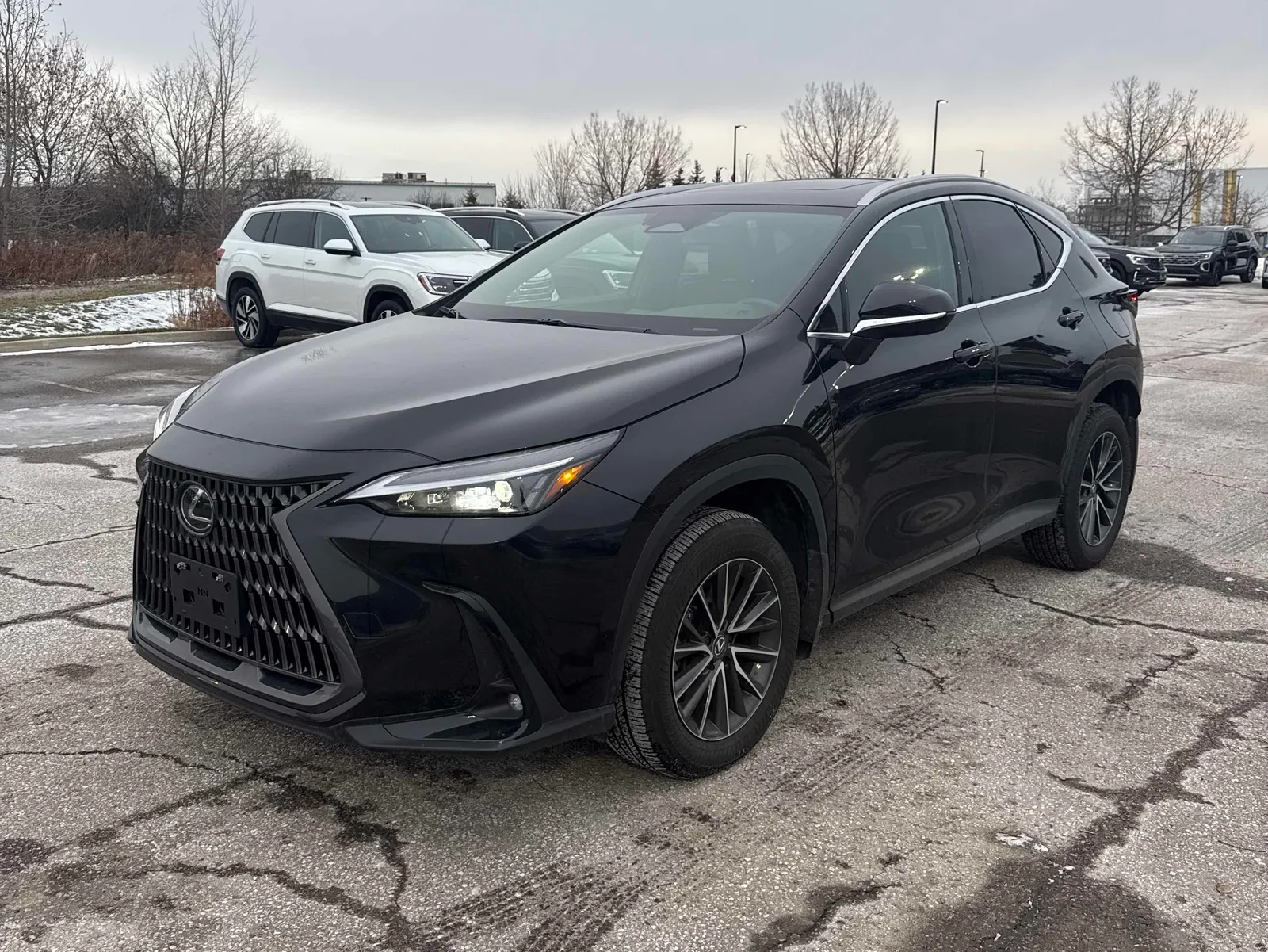 2025 Lexus NX