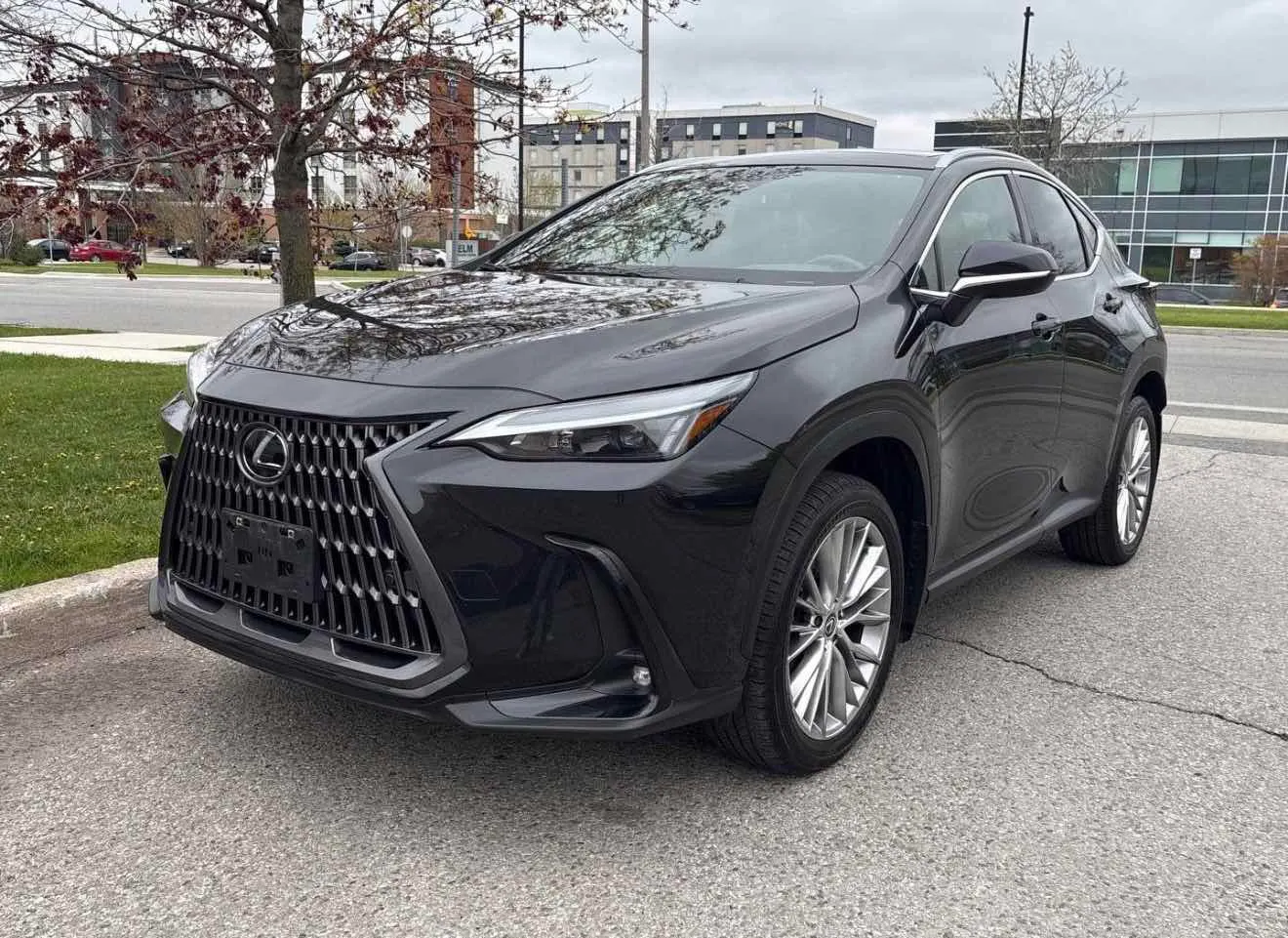 2024 Lexus NX