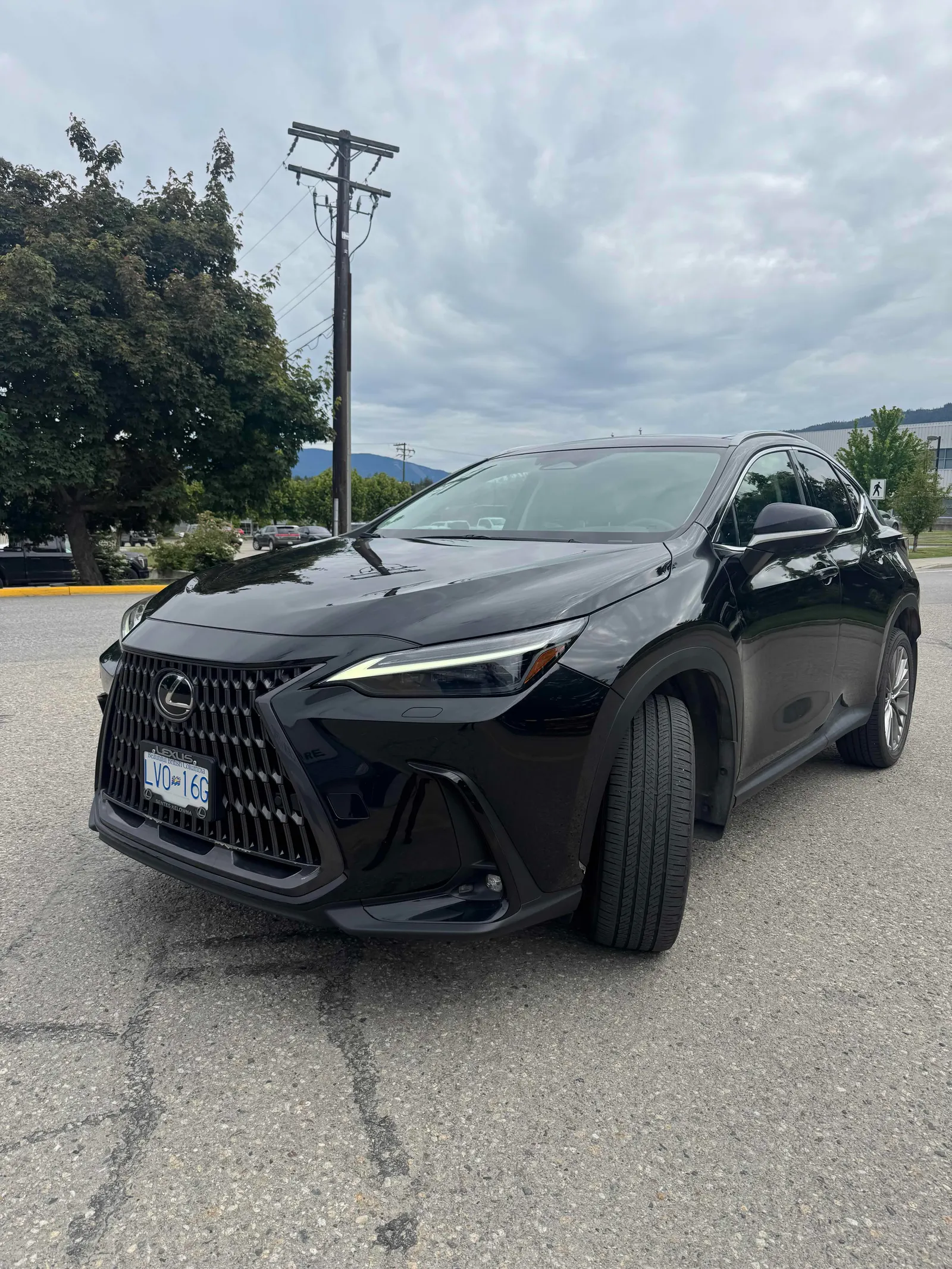 2022 Lexus NX