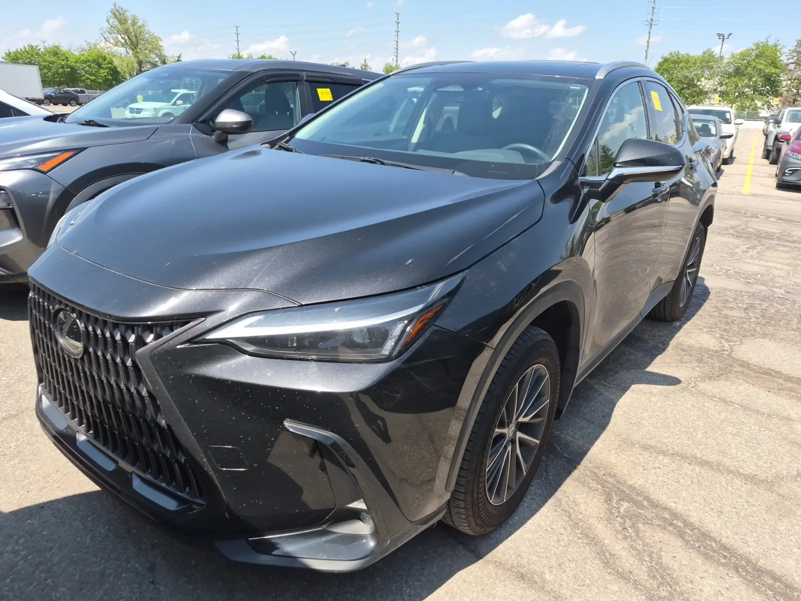 2024 Lexus NX