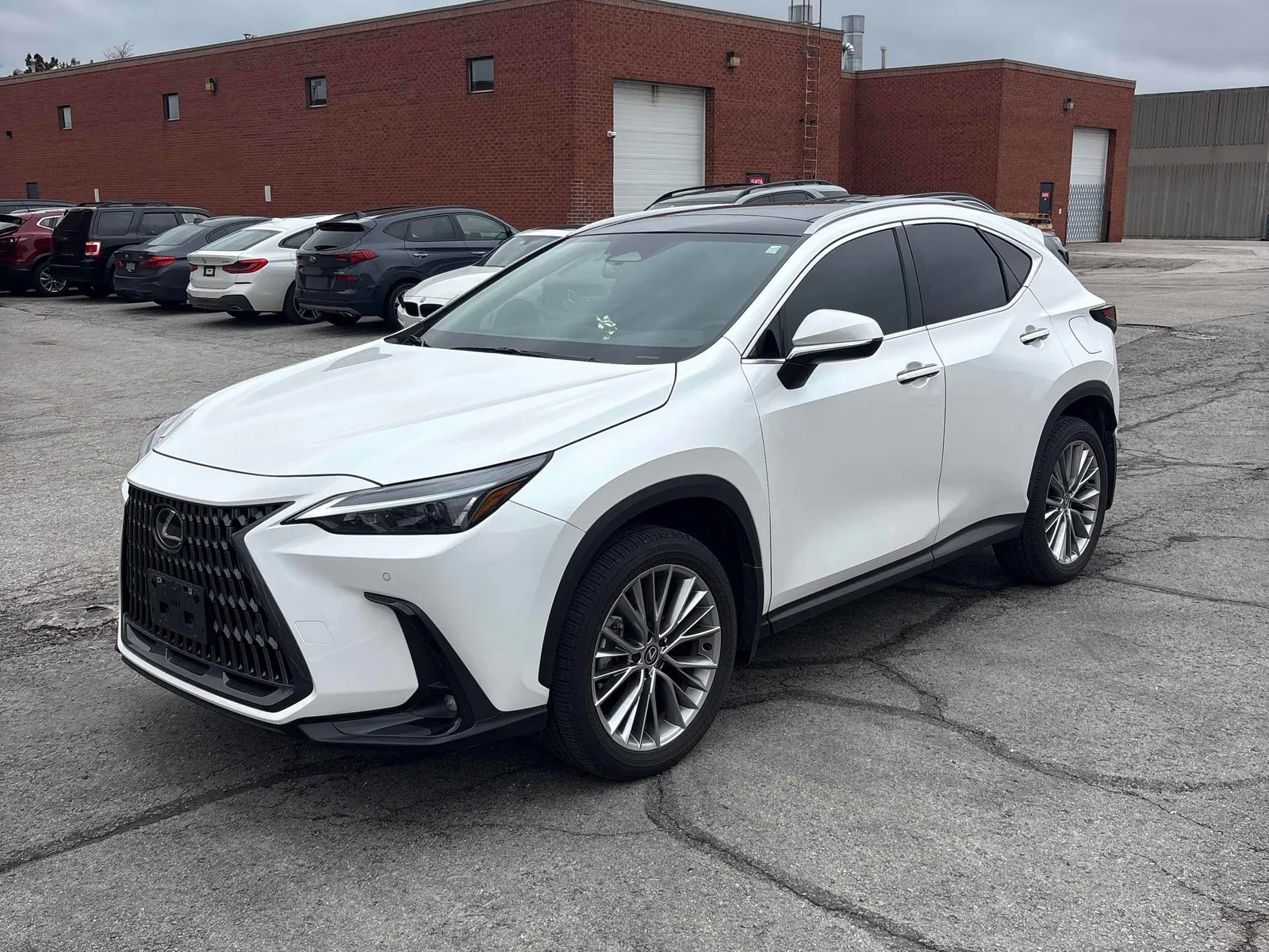 2025 Lexus NX