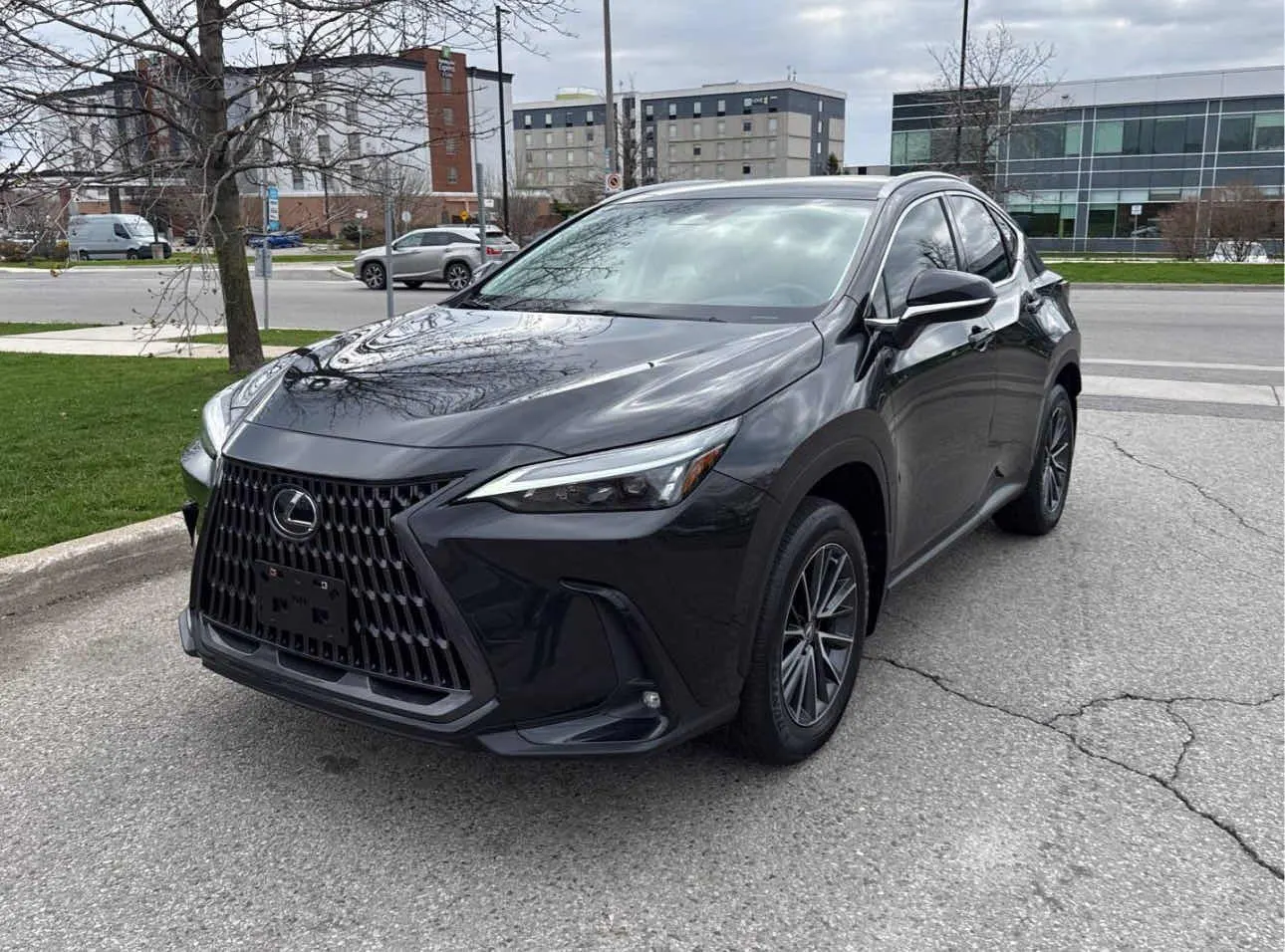2023 Lexus NX