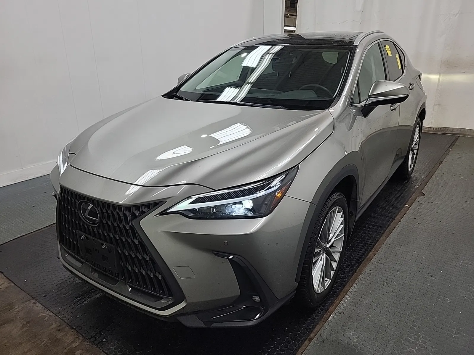 2025 Lexus NX