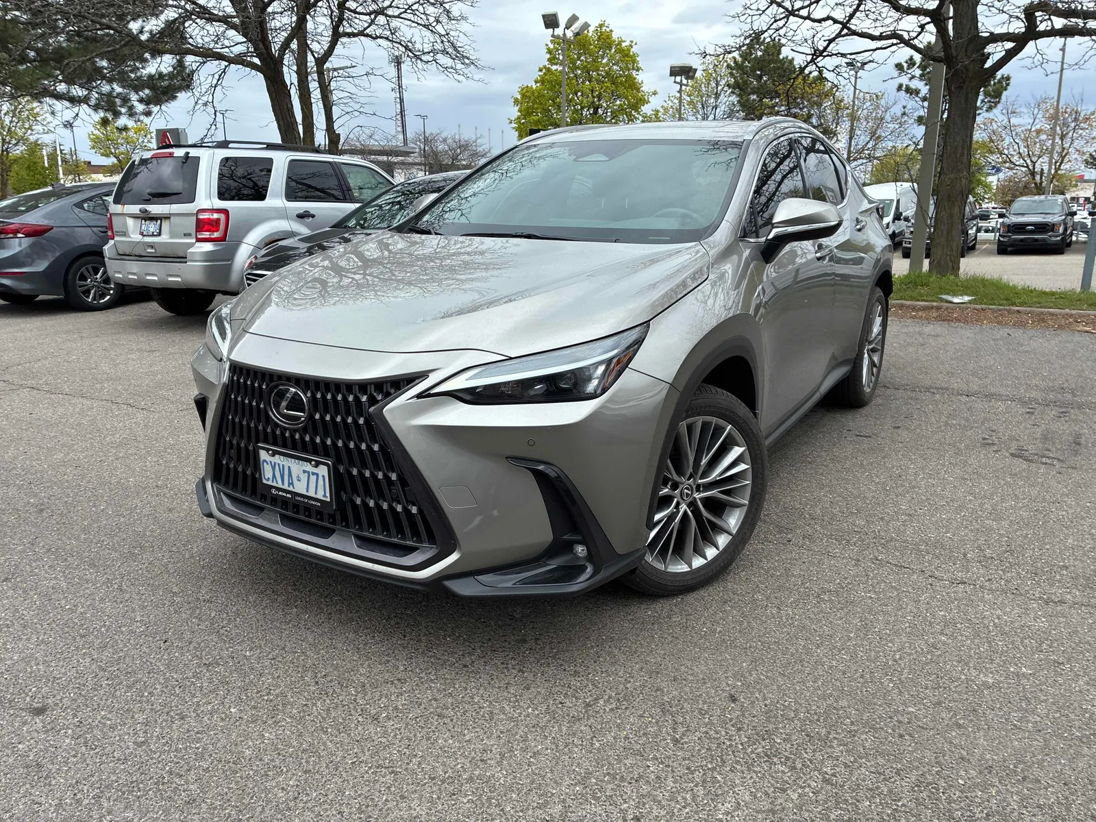 2022 Lexus NX