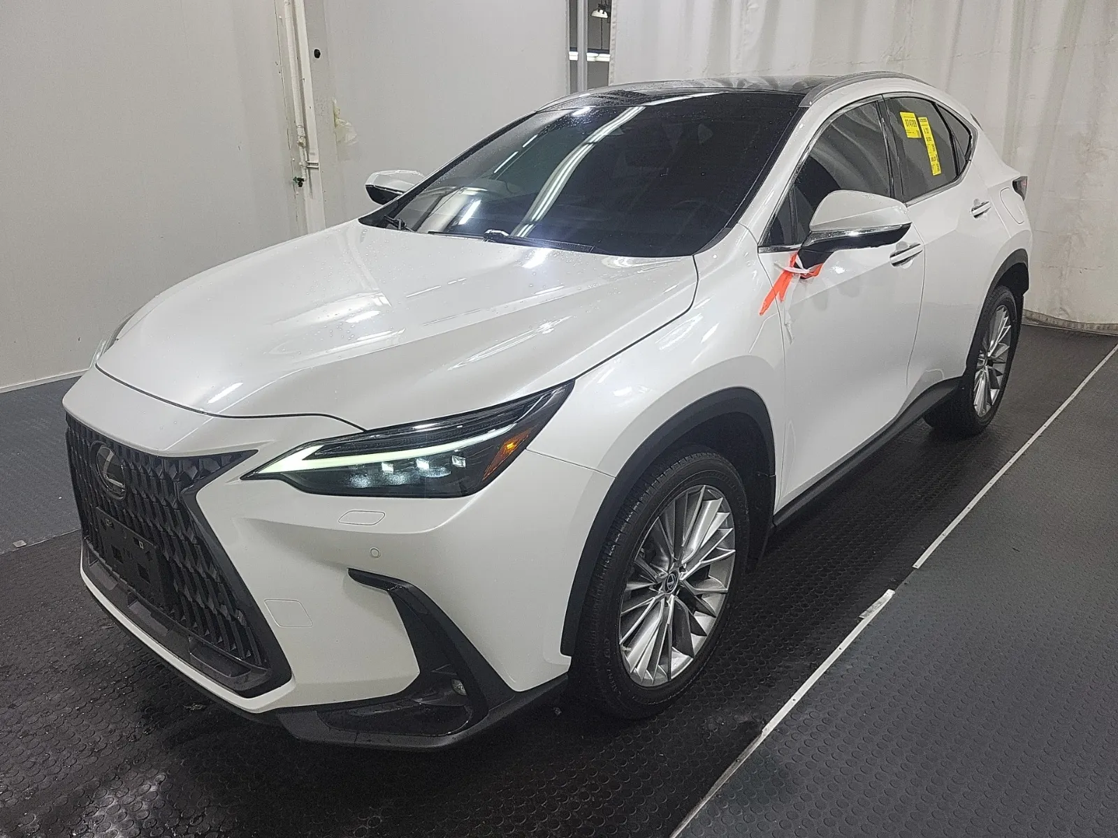 2023 Lexus NX