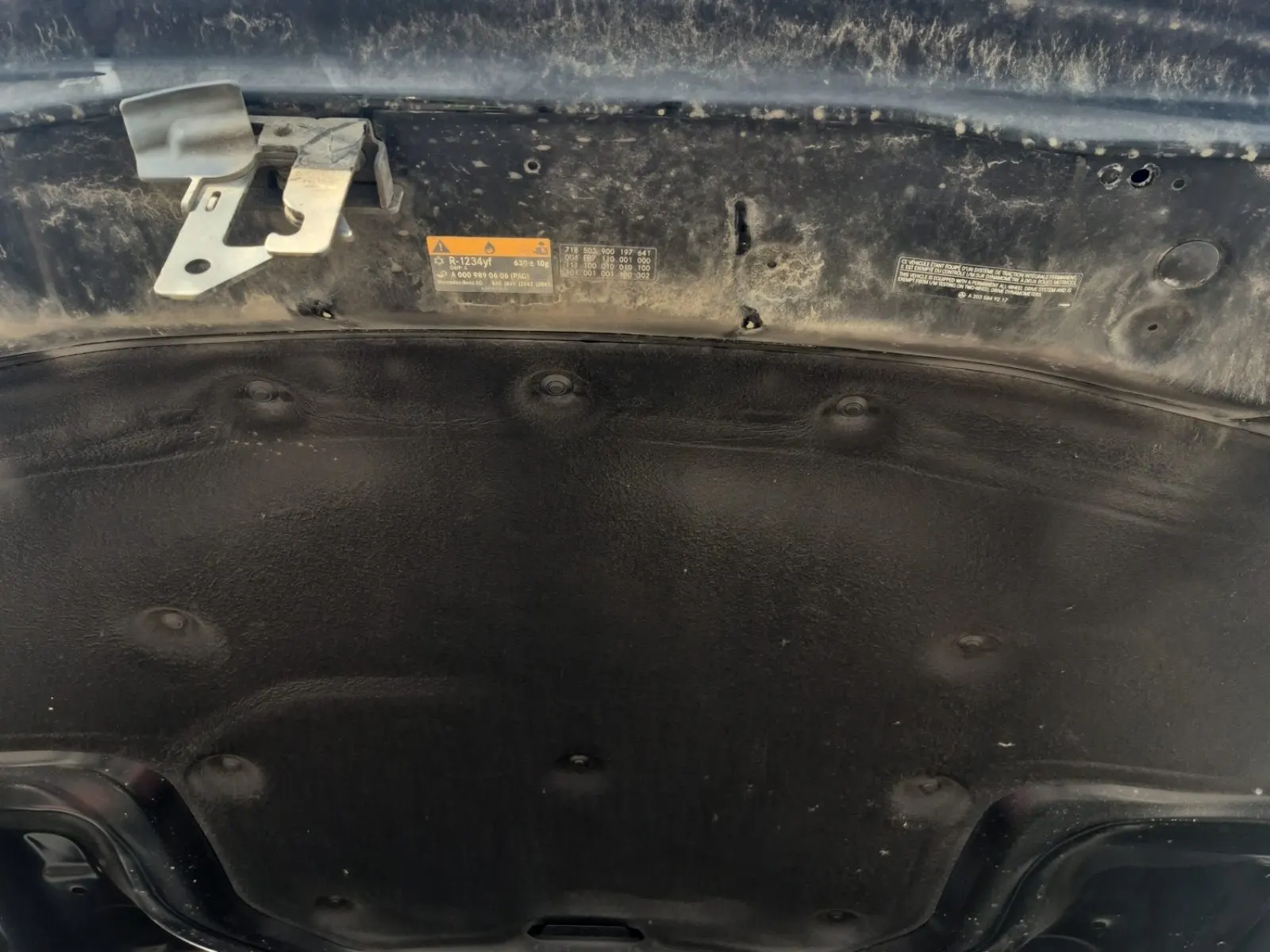 Emission Sticker Photo