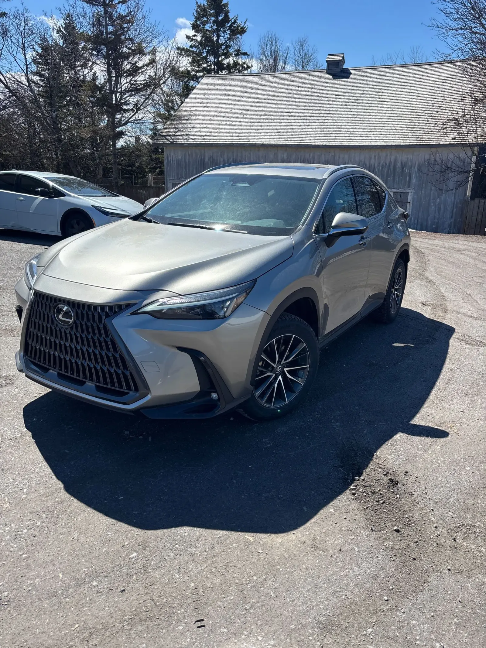 2025 Lexus NX