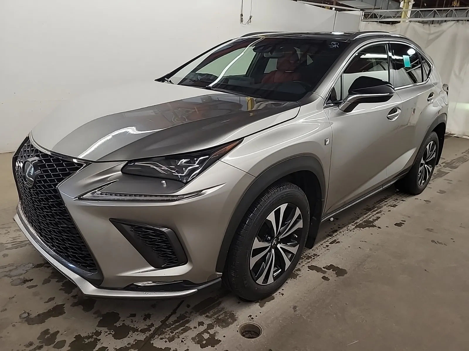 2019 Lexus NX