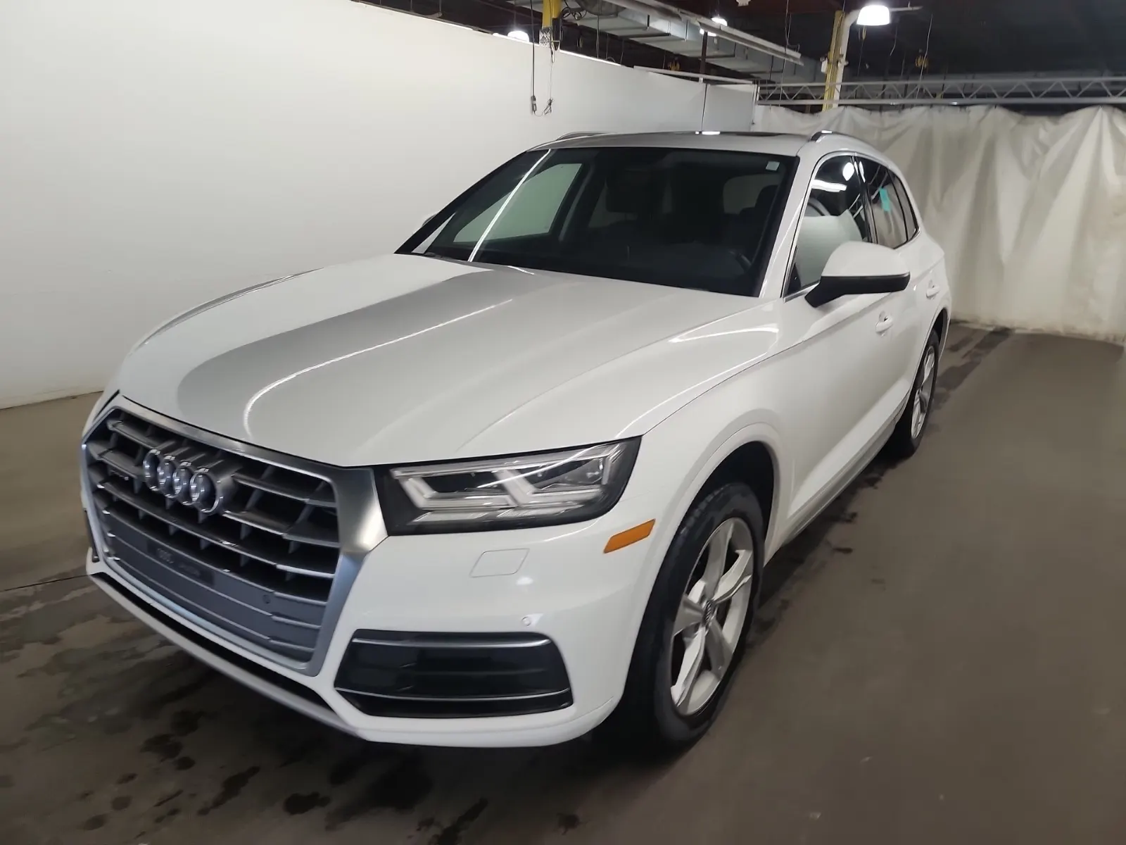 2019 Audi Q5