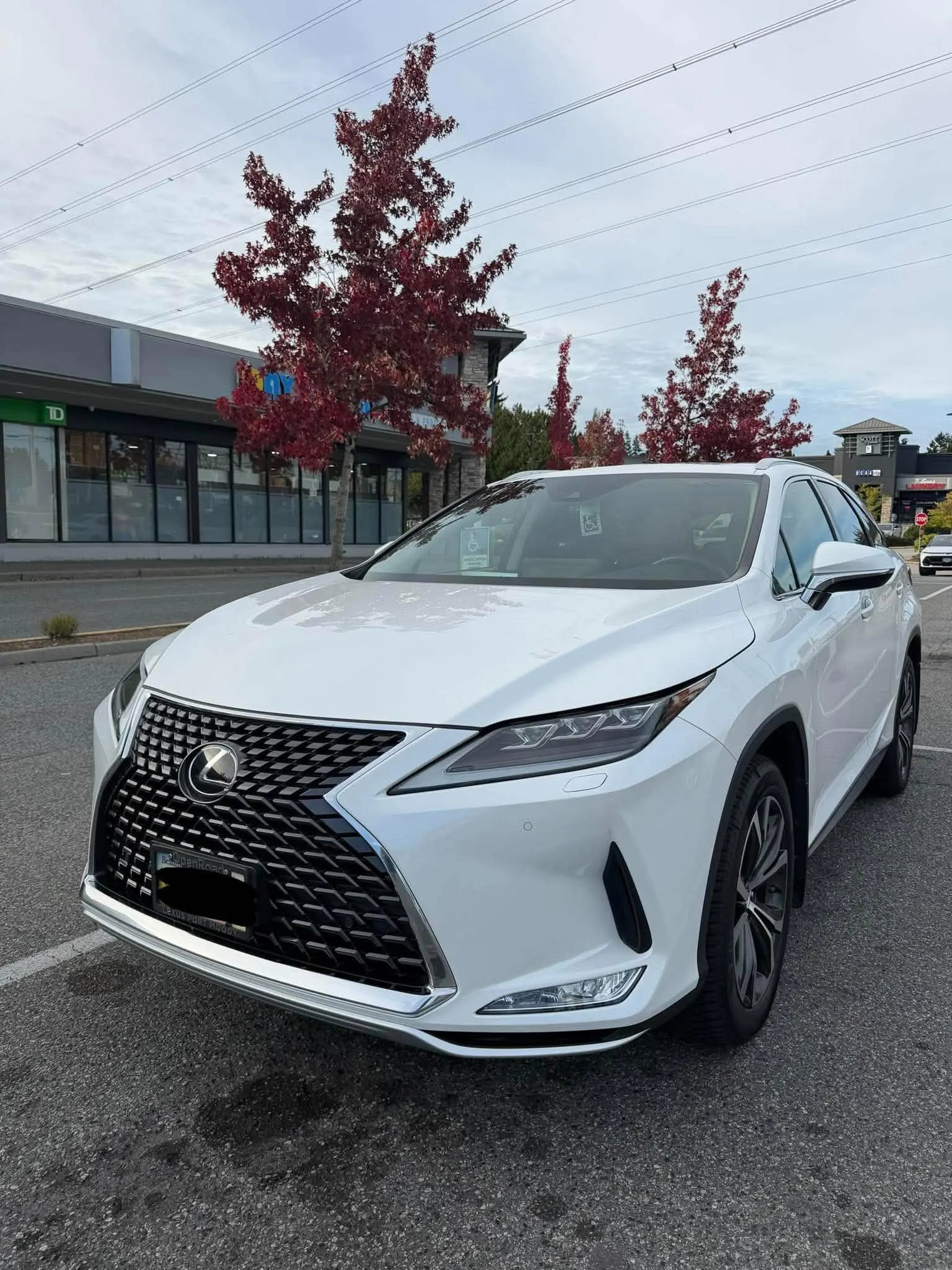 2020 Lexus RX