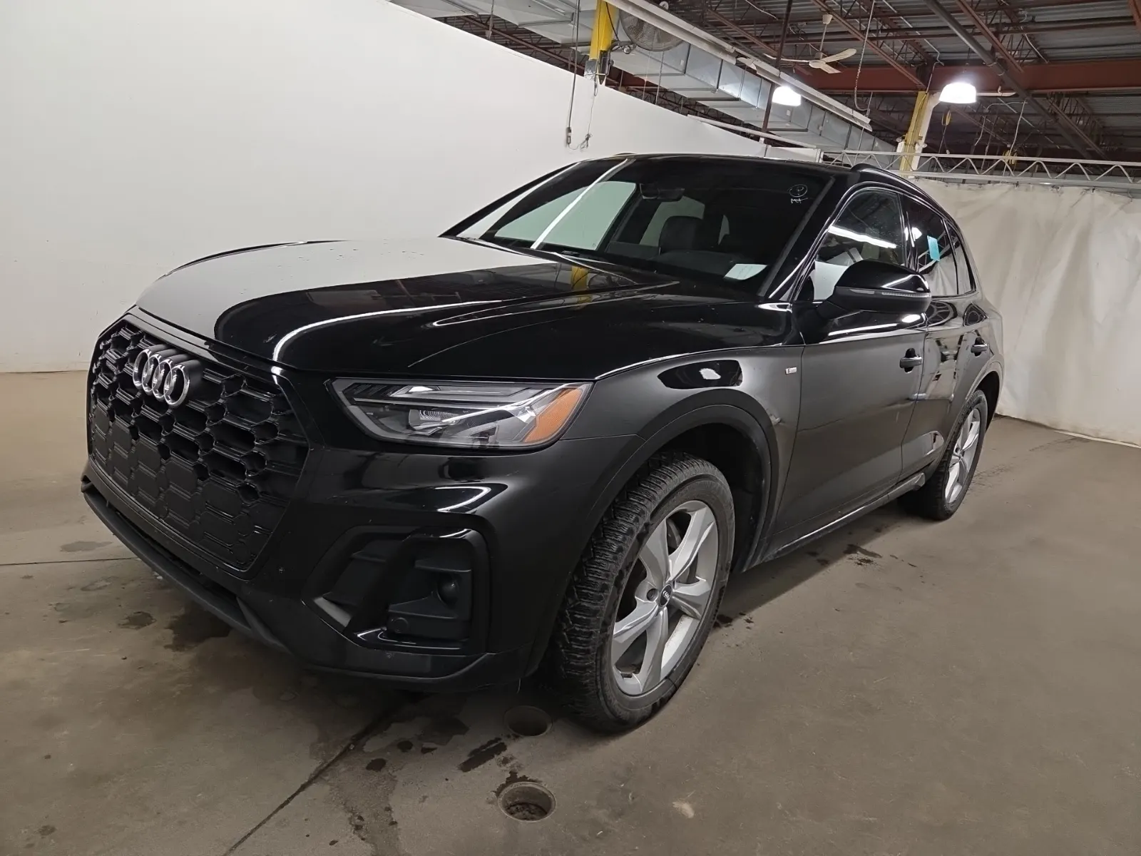 2023 Audi Q5