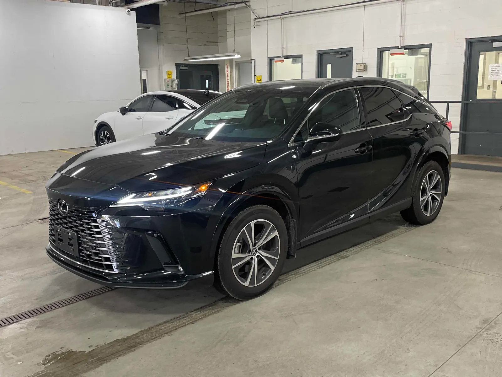 2026 Lexus RX