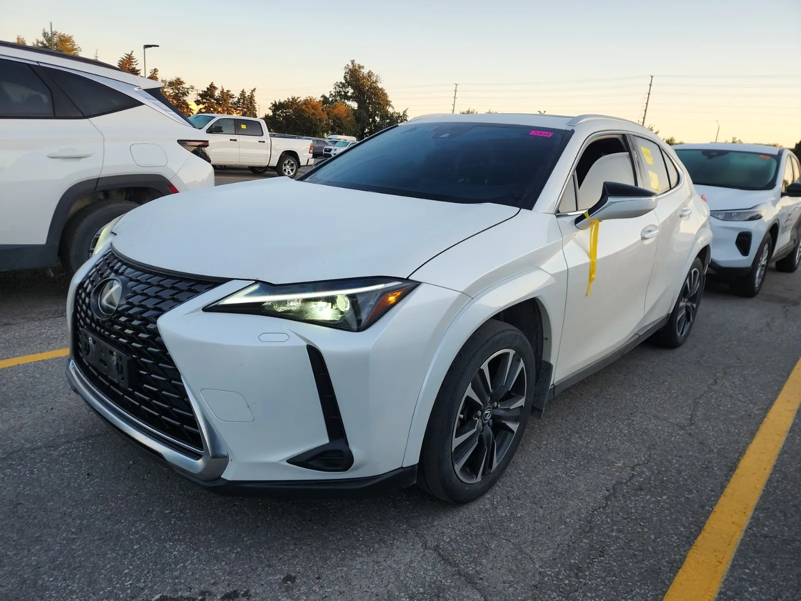 2024 Lexus UX