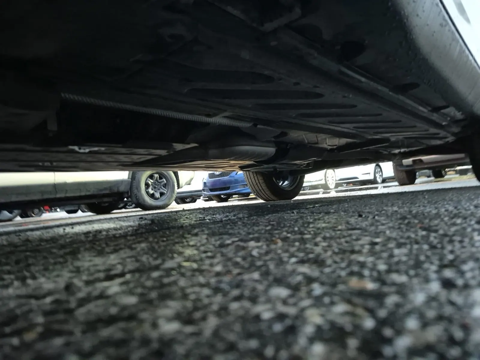 Undercarriage - Driver Photo