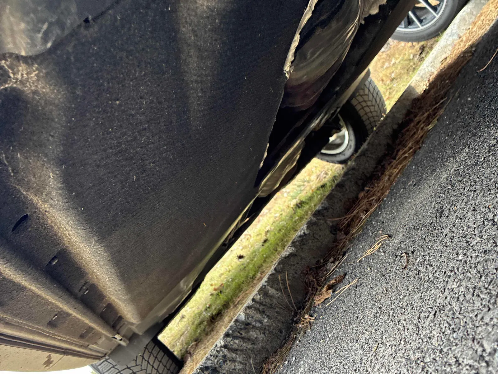 Additional Photo