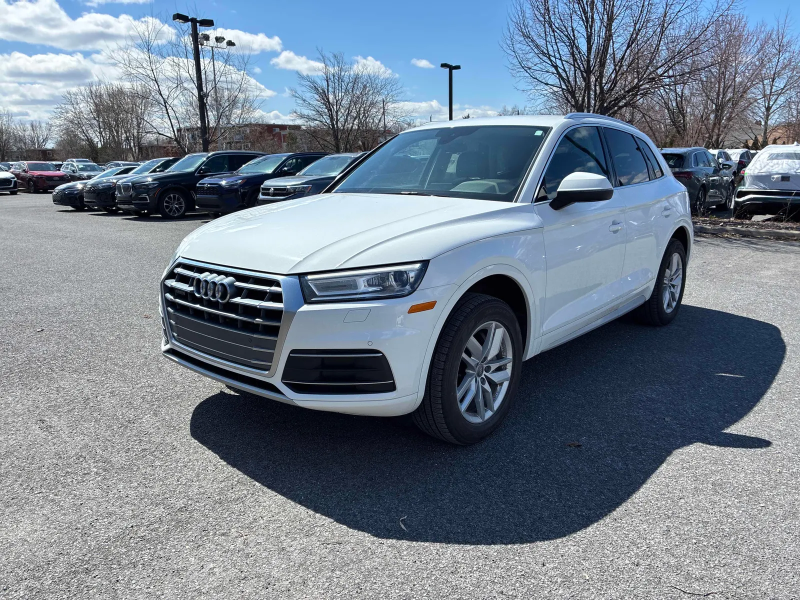 2020 Audi Q5