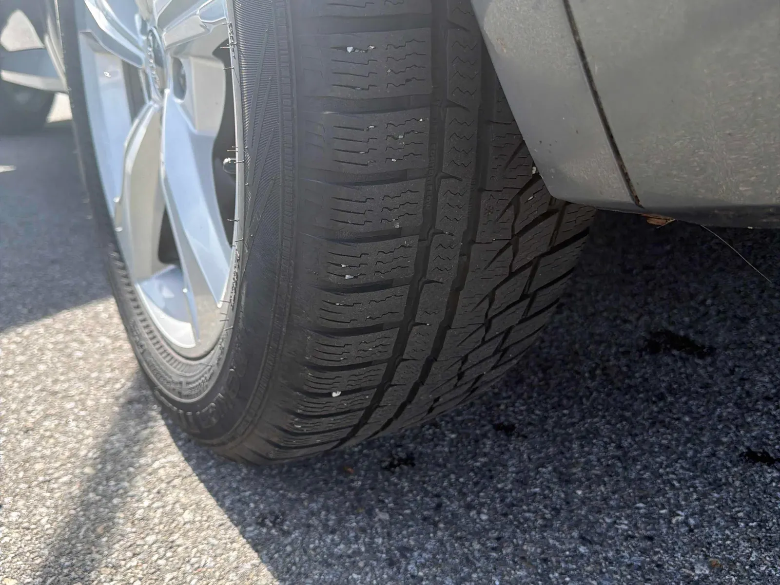 Additional Photo