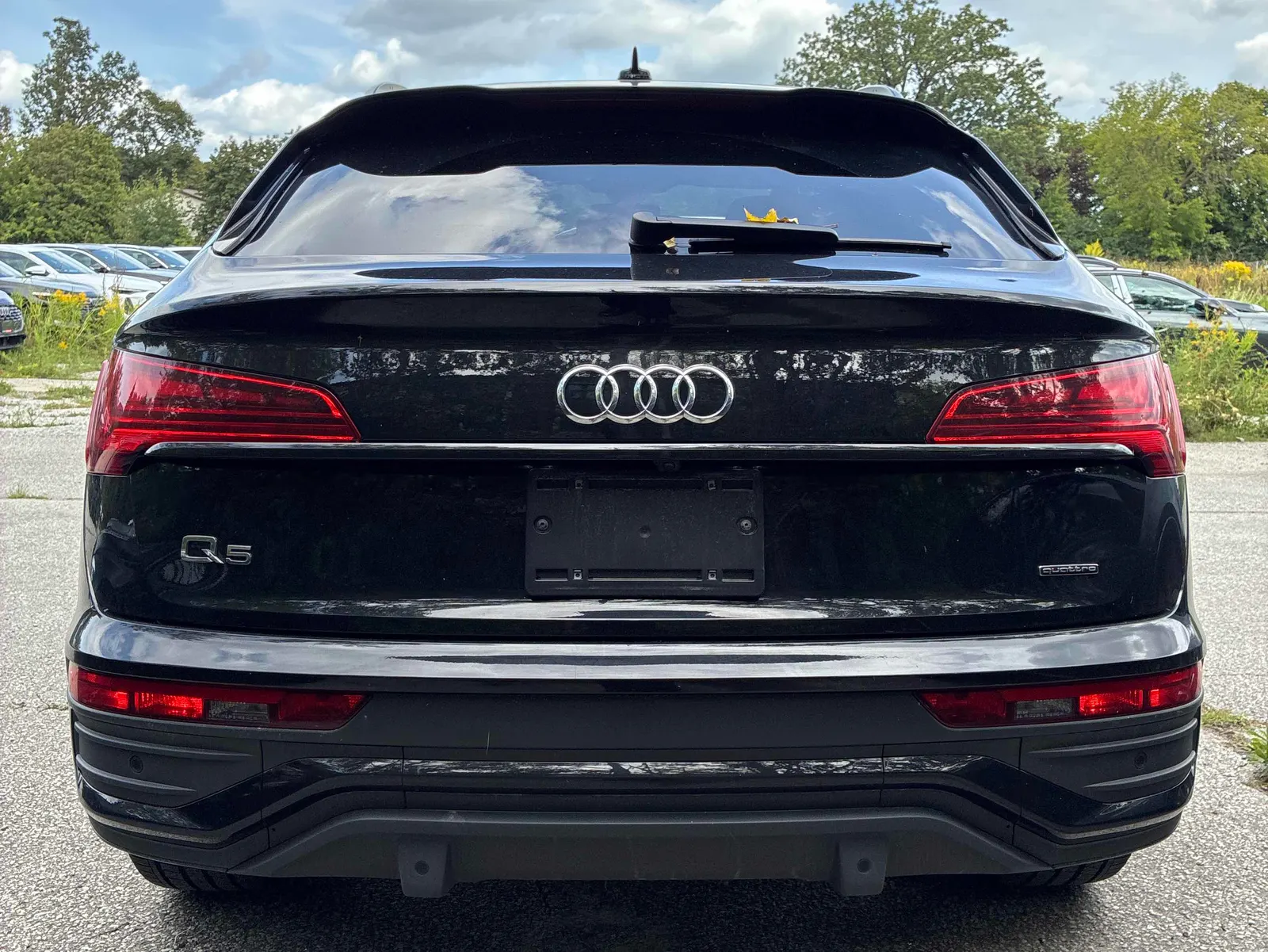 Back