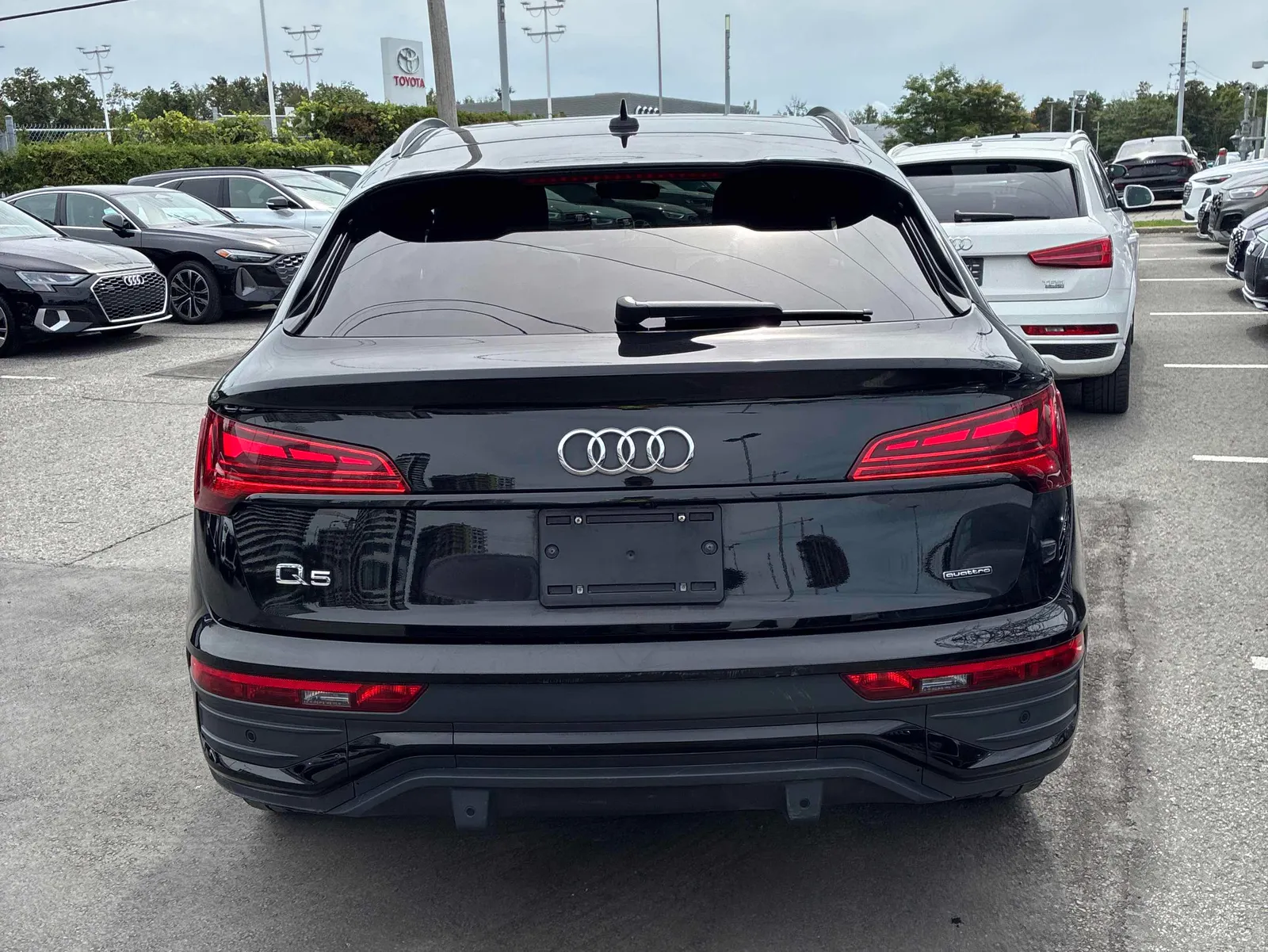 Back