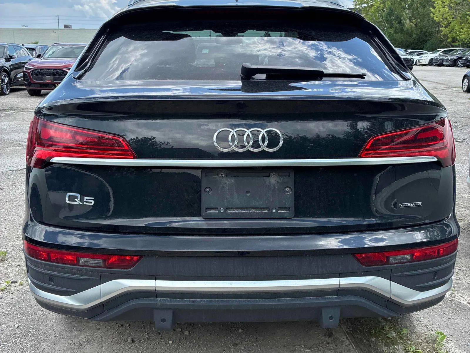 Back