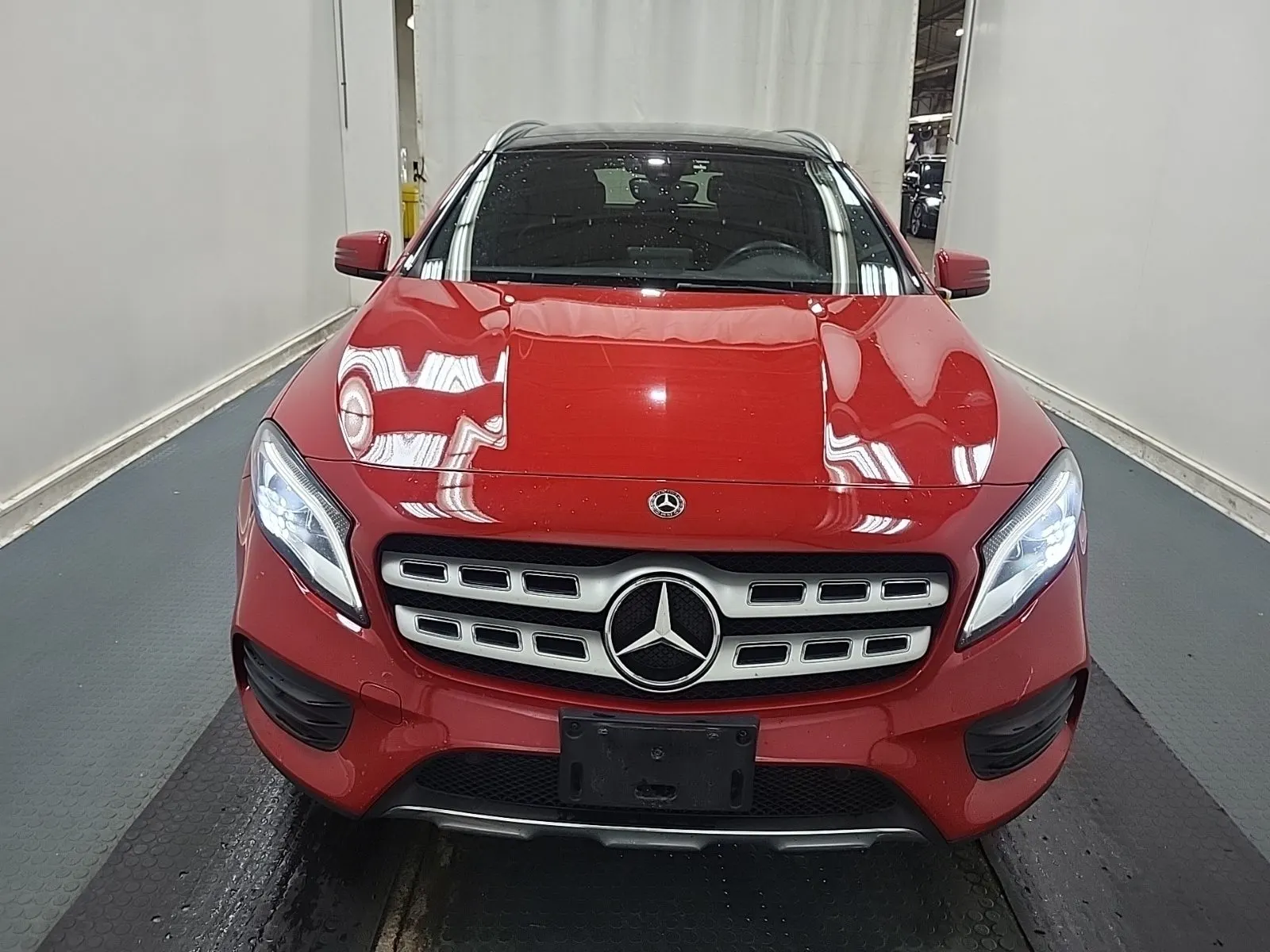 Full Front Photo