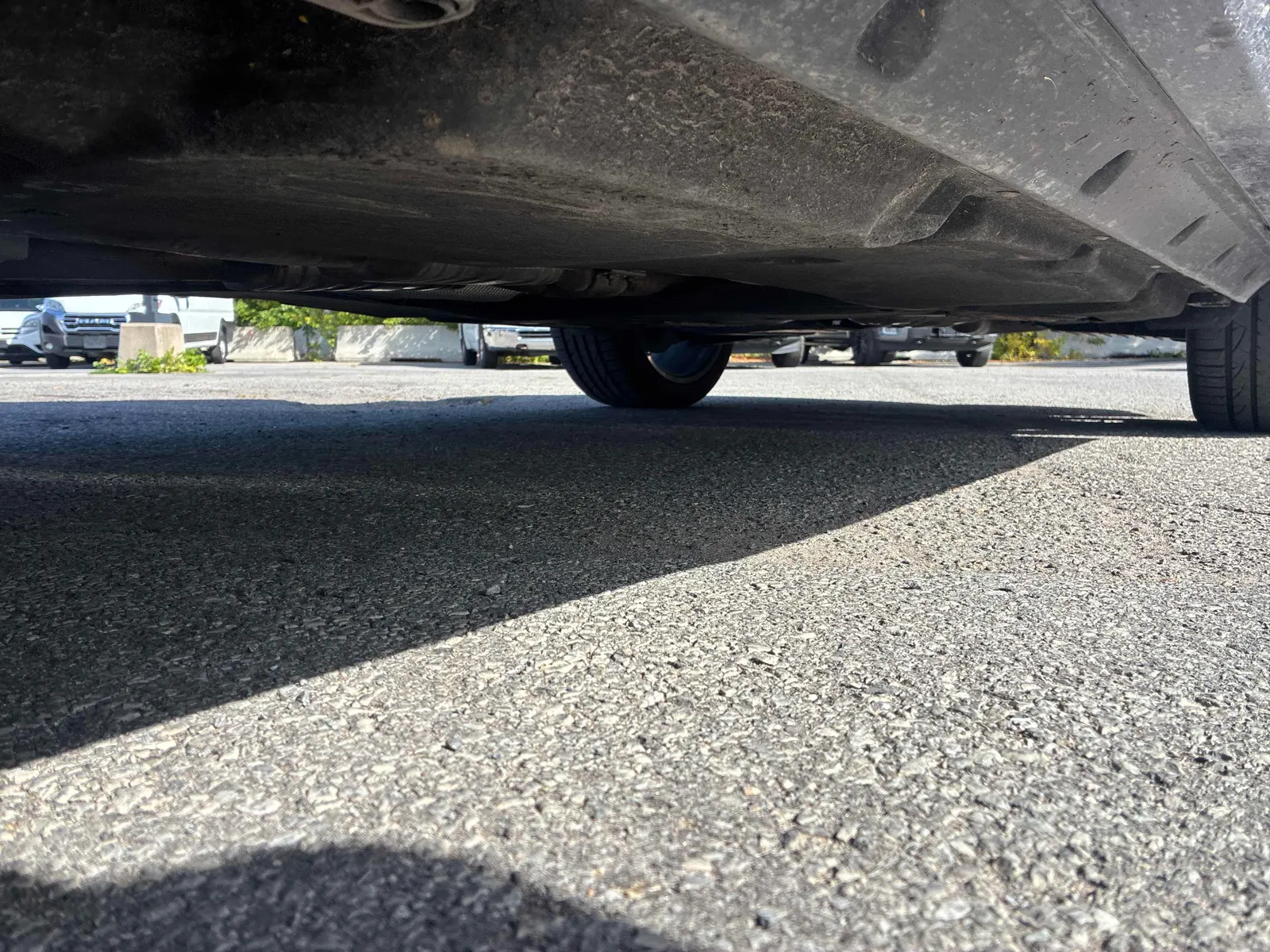 Additional Photo