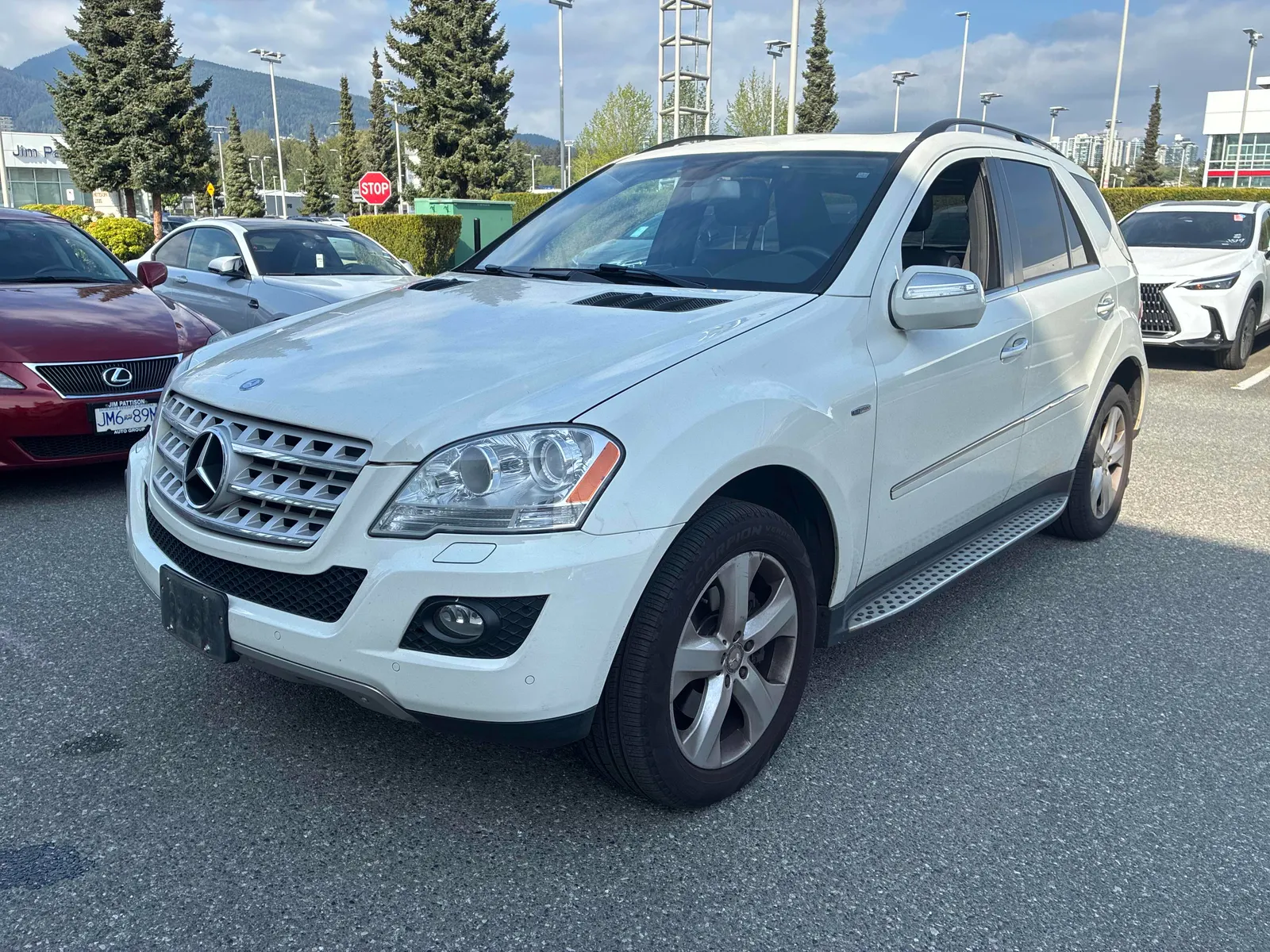 2010 Mercedes-Benz M-Class