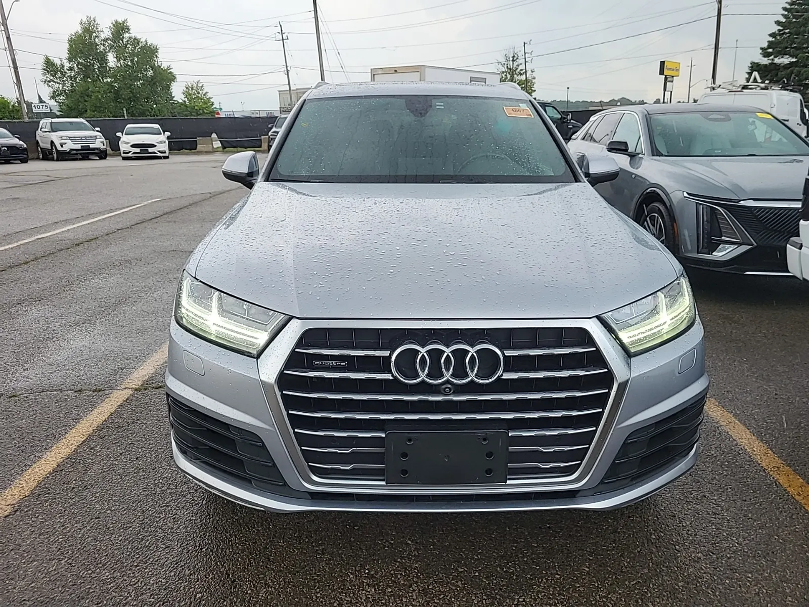 Full Front Photo