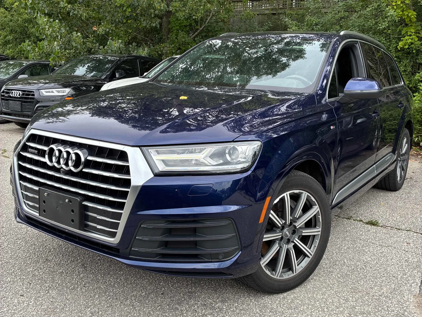 2019 Audi Q7