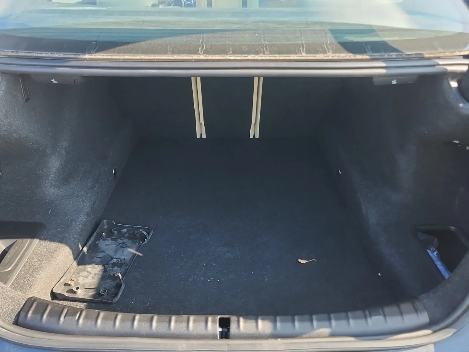 Cargo Area Photo