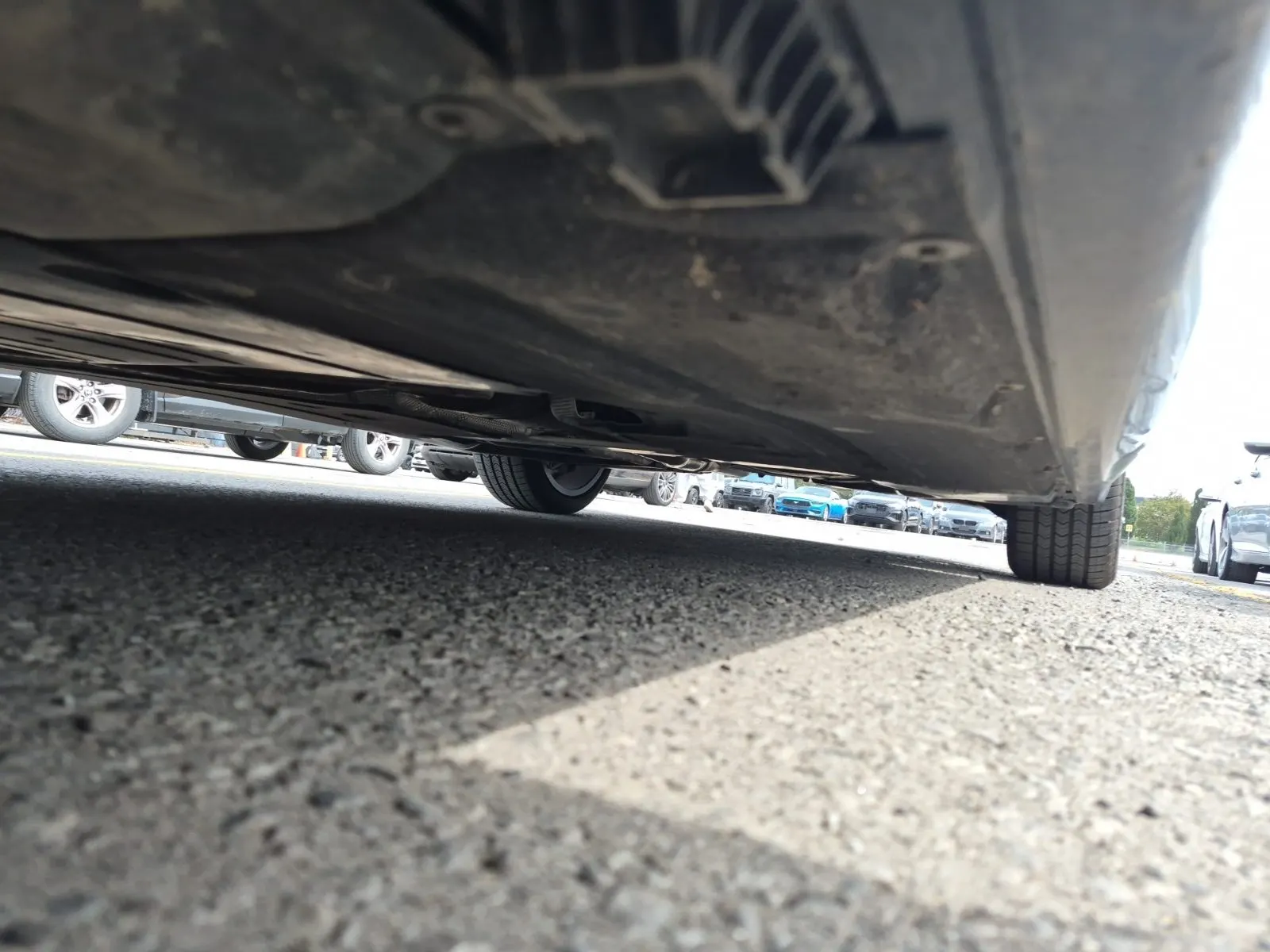 Undercarriage - Driver Photo