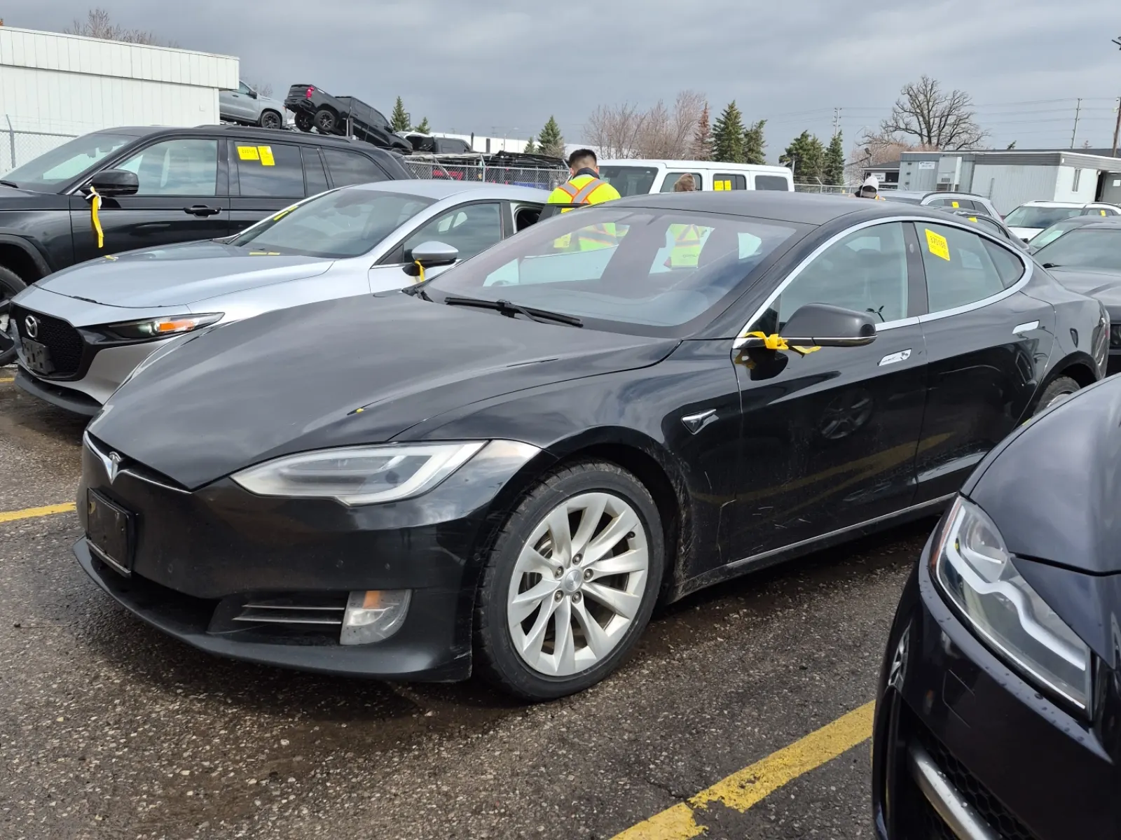 2019 Tesla Model S