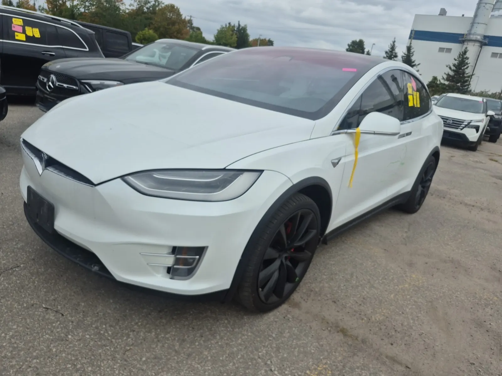 2019 Tesla Model X