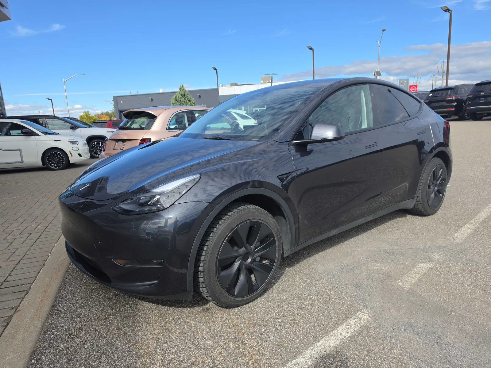 2025 Tesla Model Y