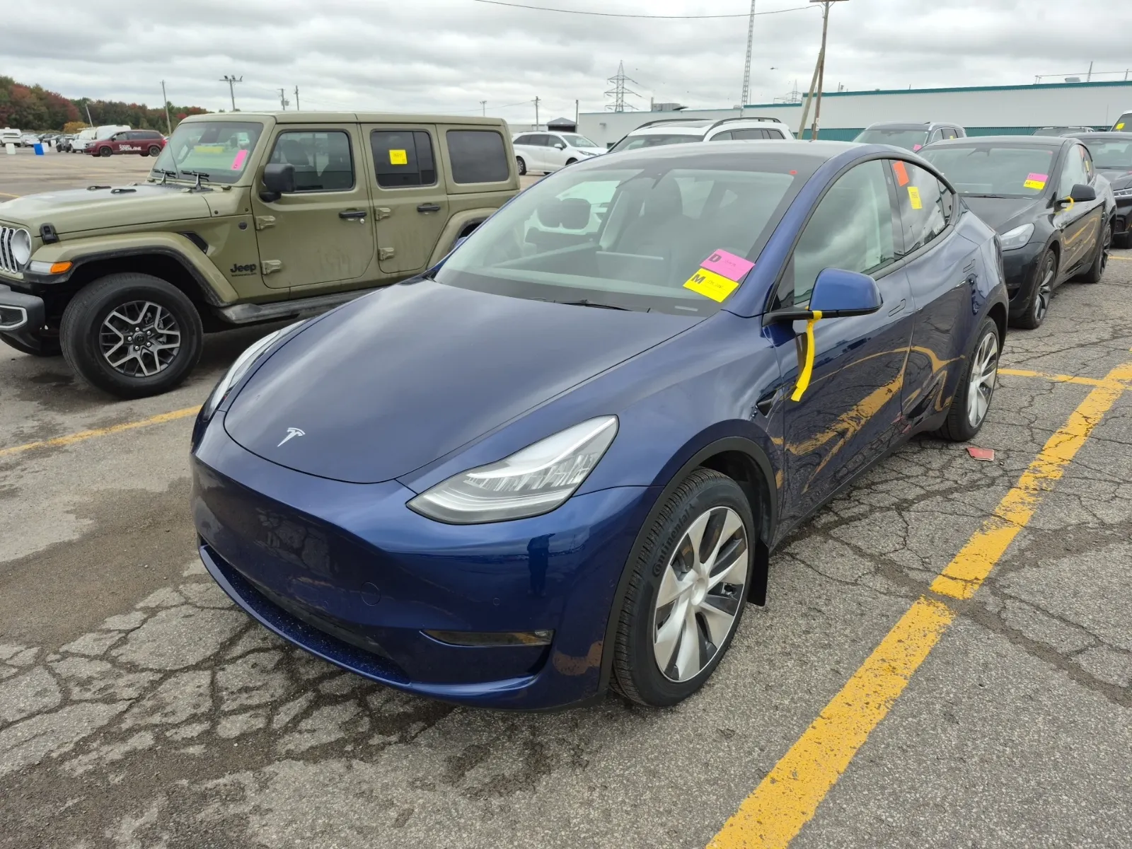 2021 Tesla Model Y