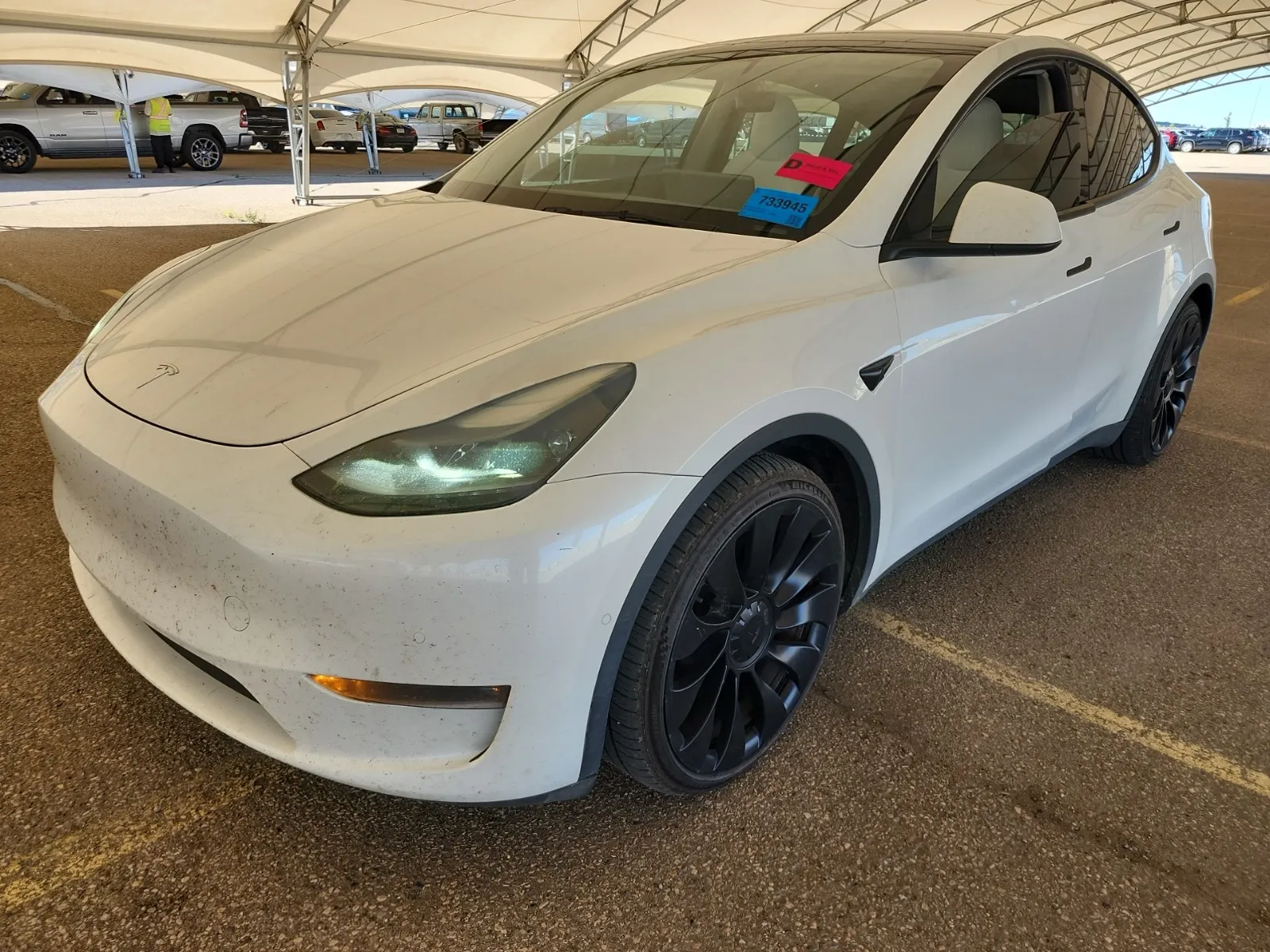2022 Tesla Model Y
