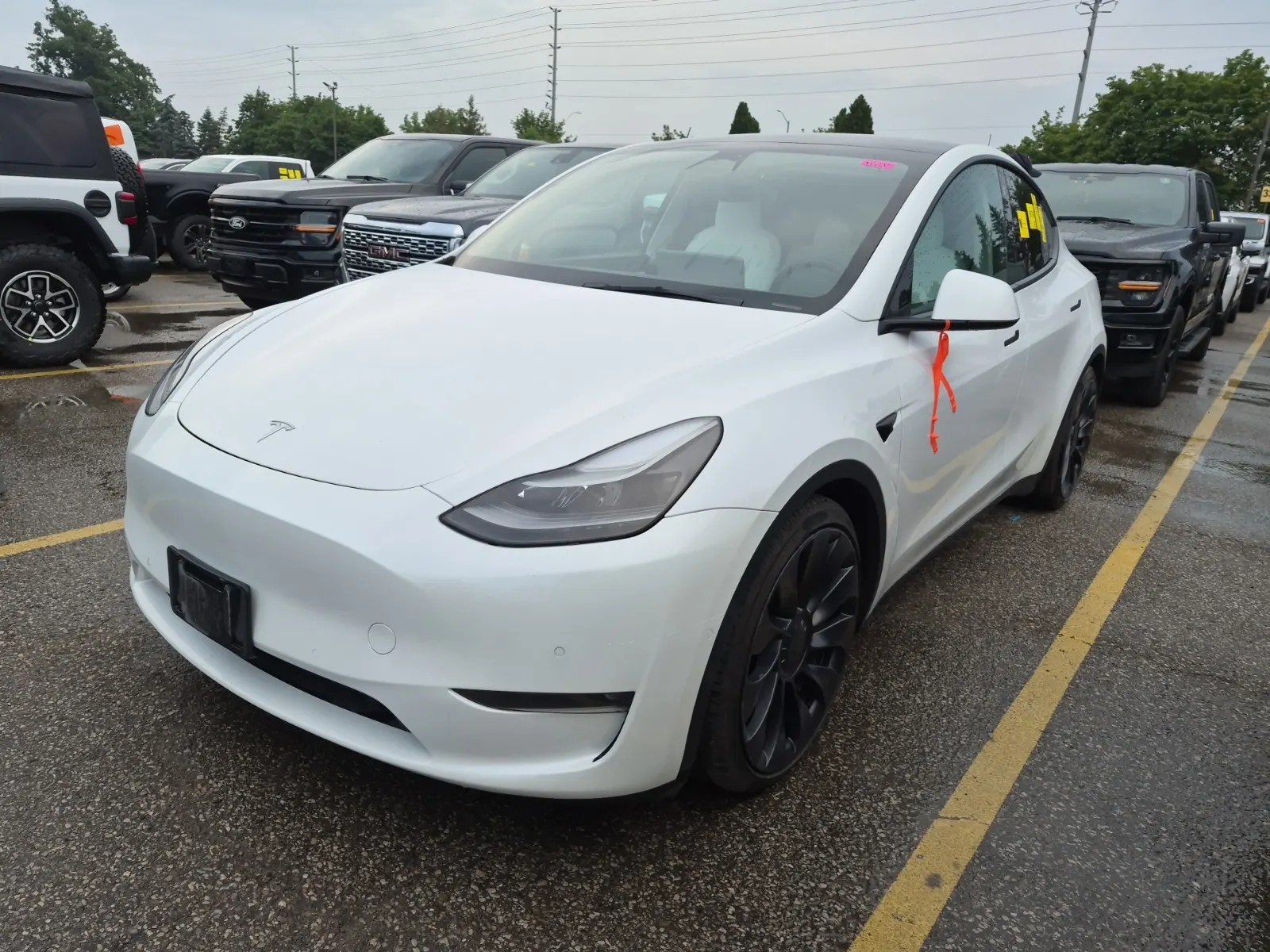 2022 Tesla Model Y