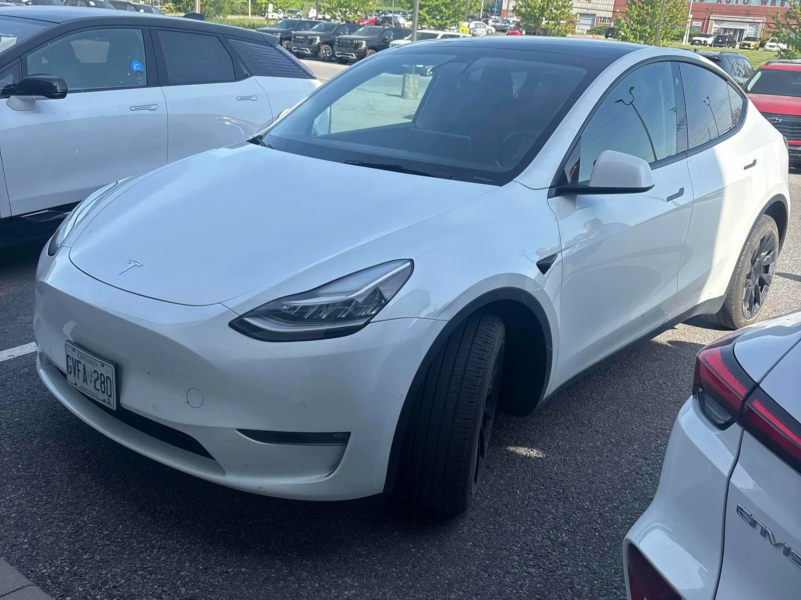 2022 Tesla Model Y