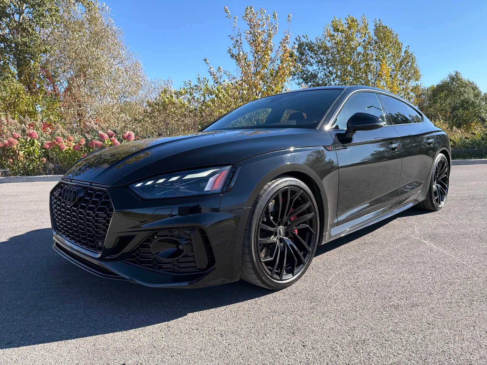 2024 Audi RS 5 Sportback