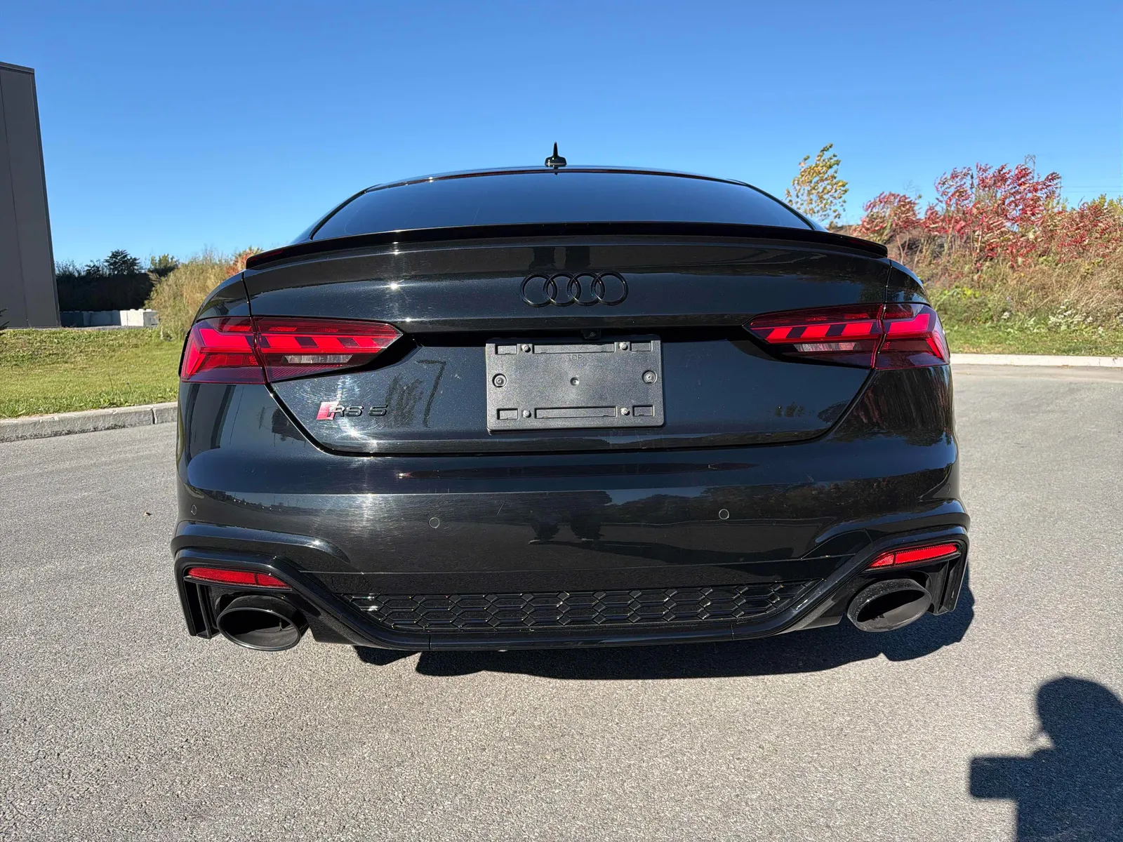 Back