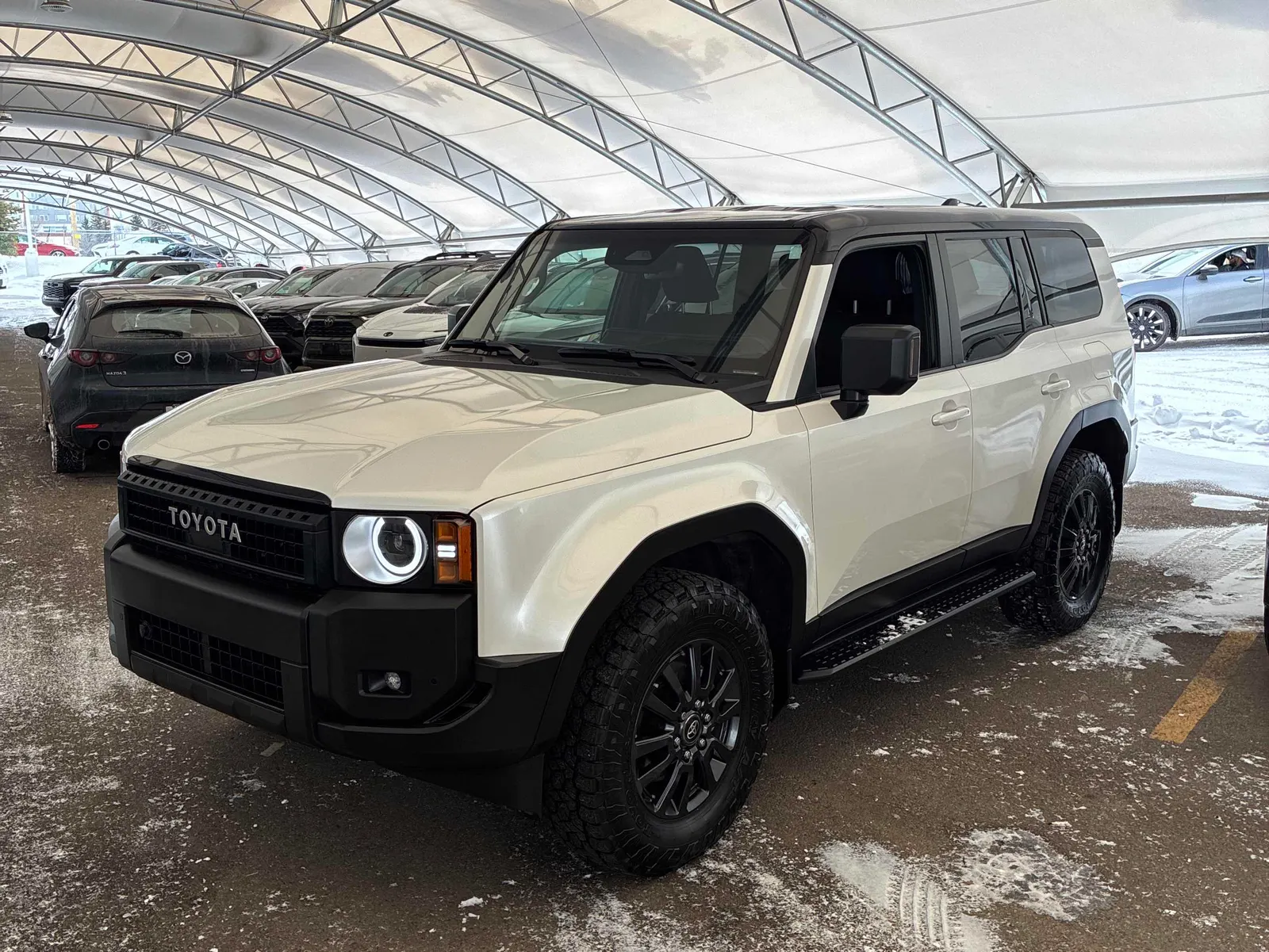2025 Toyota Land Cruiser